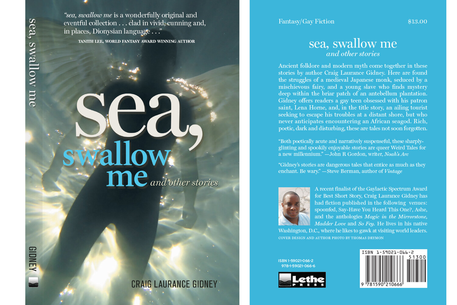 gidney-sea-swallow.jpg