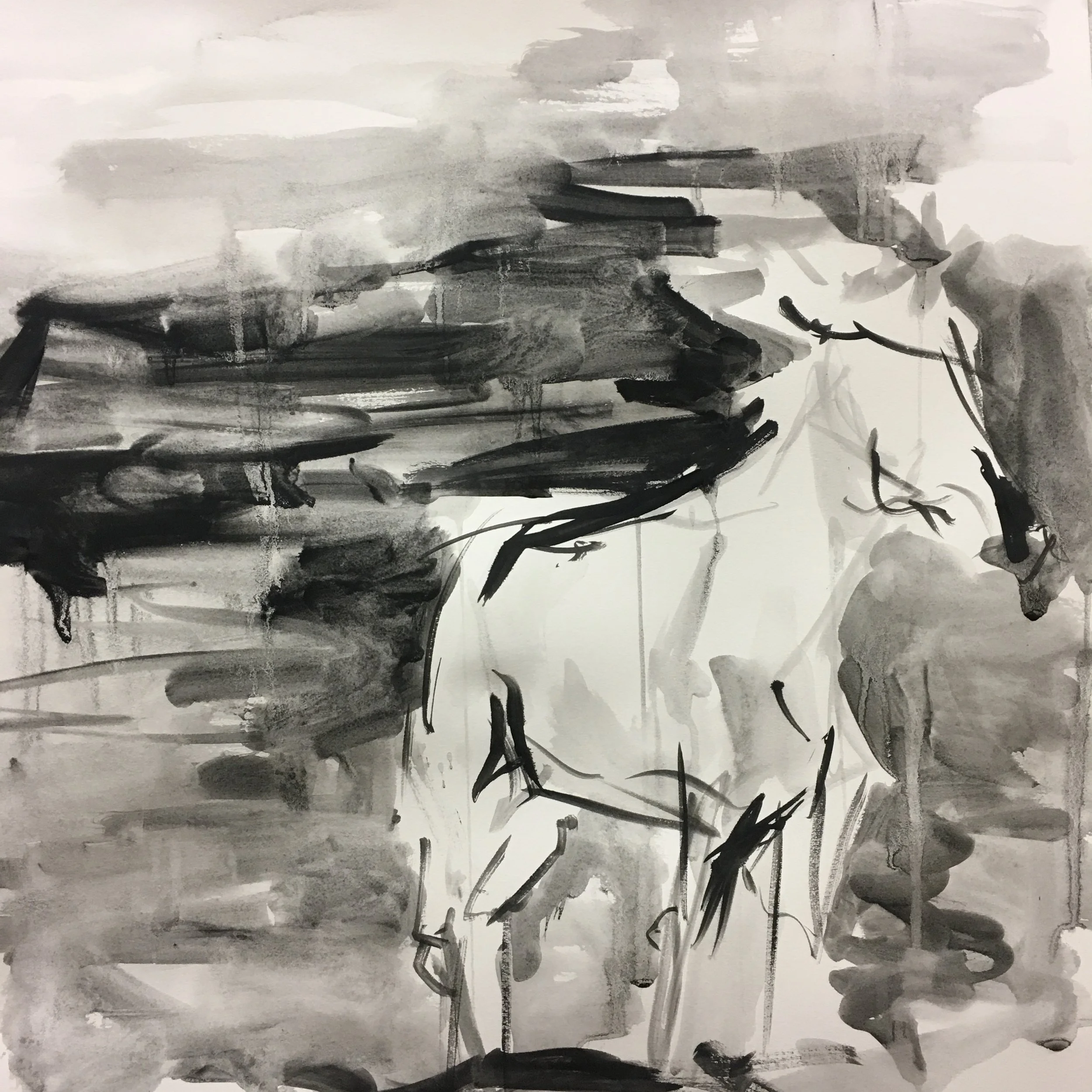 22"x22"