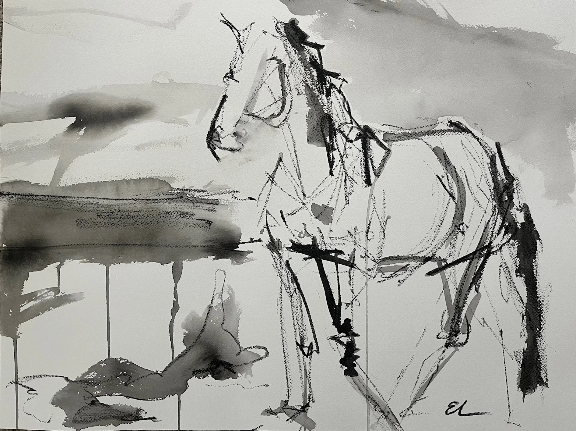 22"x30"