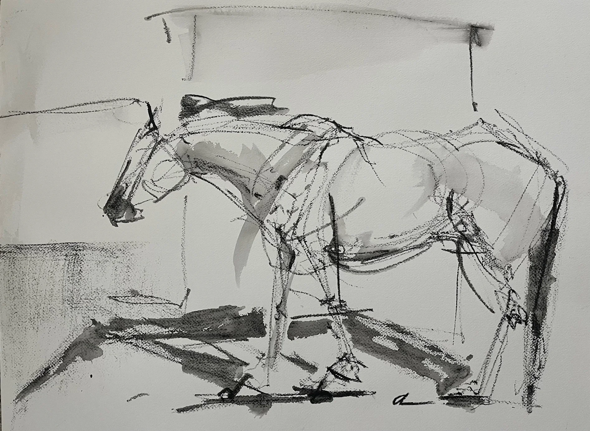 22"x30"
