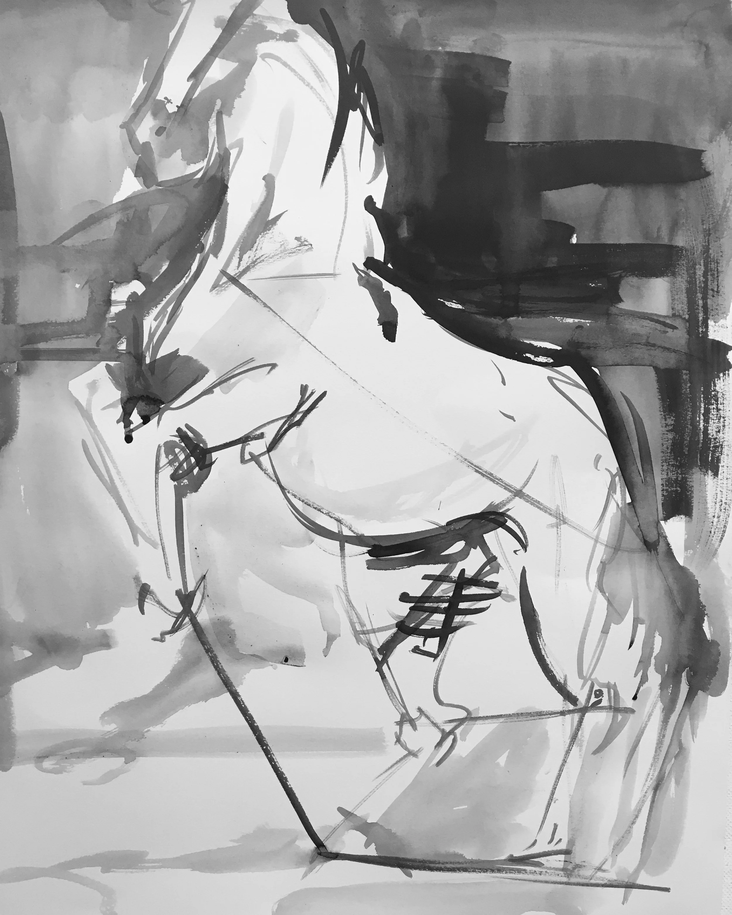 30"x22"