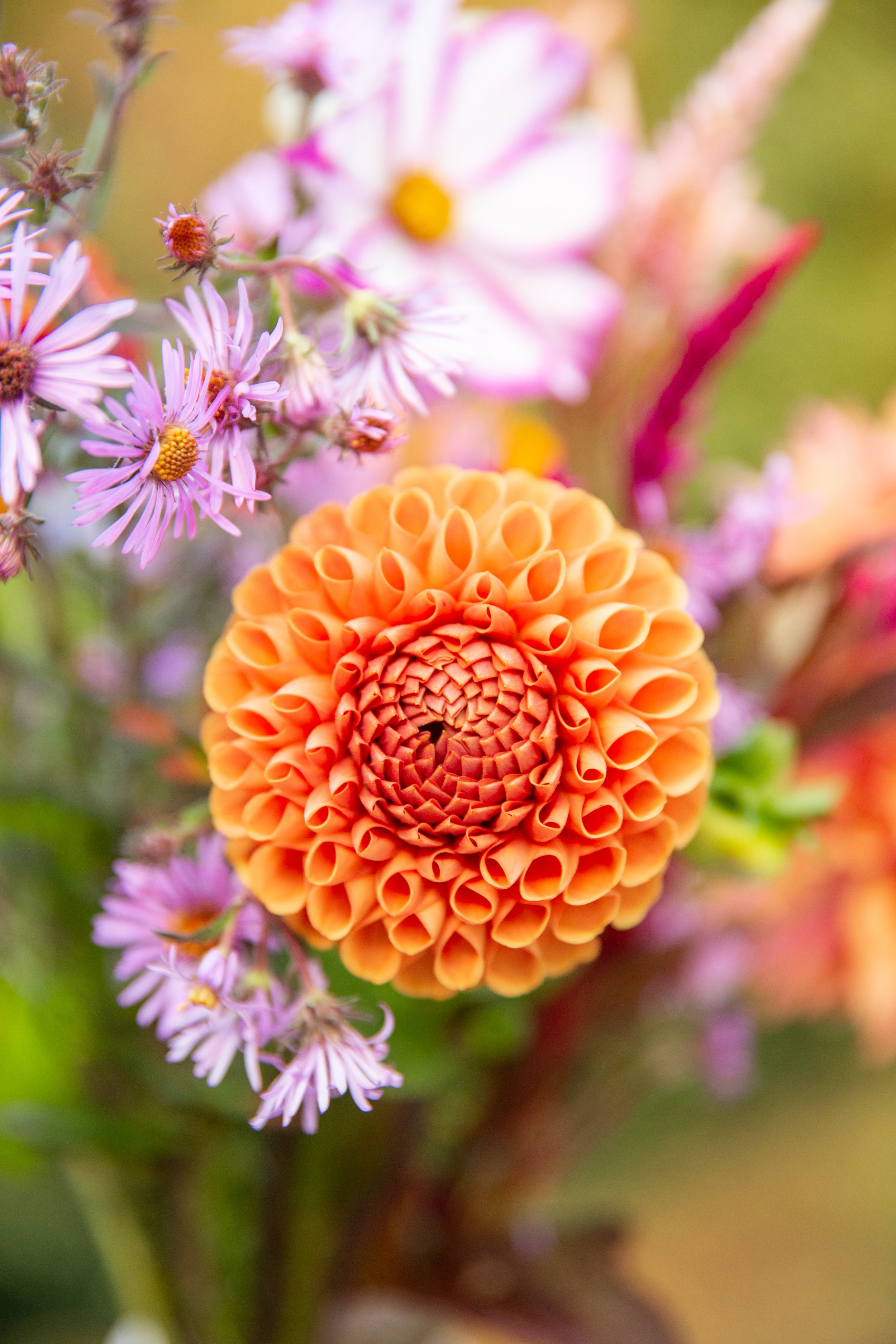 Syracuse-Product-Photographer-025-FlowerFarm-IMG_4002.jpeg