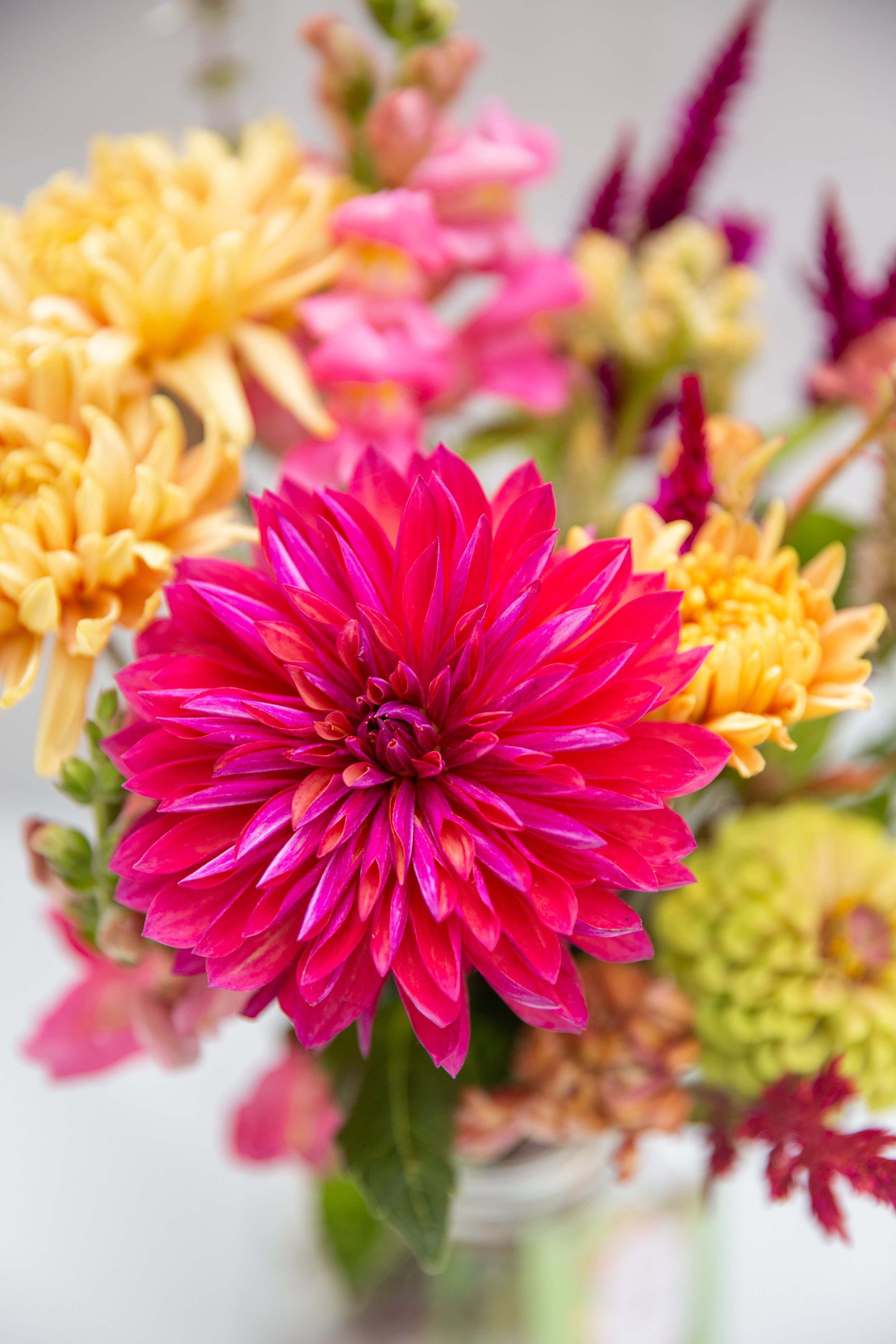 Syracuse-Product-Photographer-003-FlowerFarm-IMG_8165.jpeg