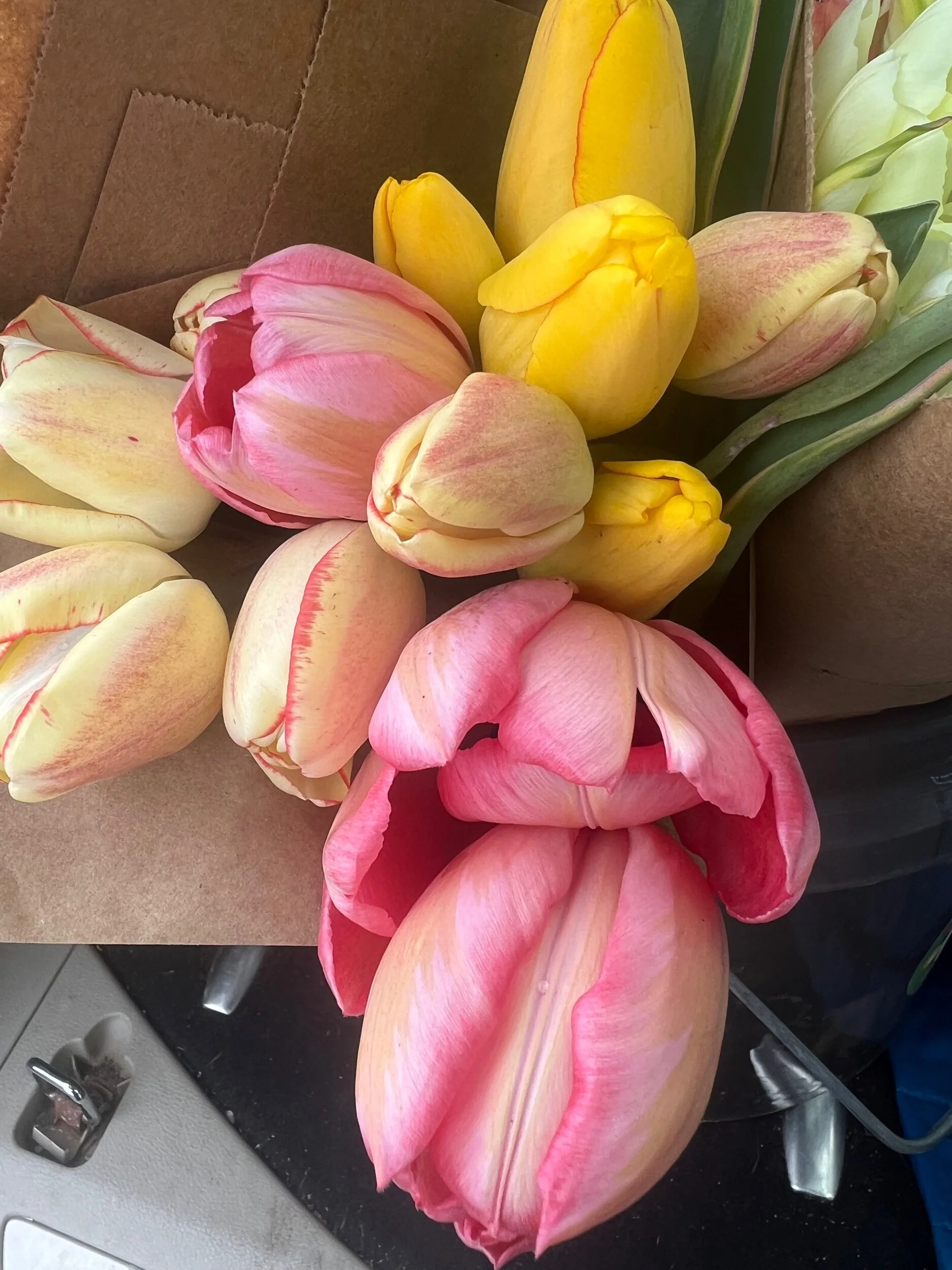 A94DF3FD-DA53-441C-92E0-7EE27A79C977