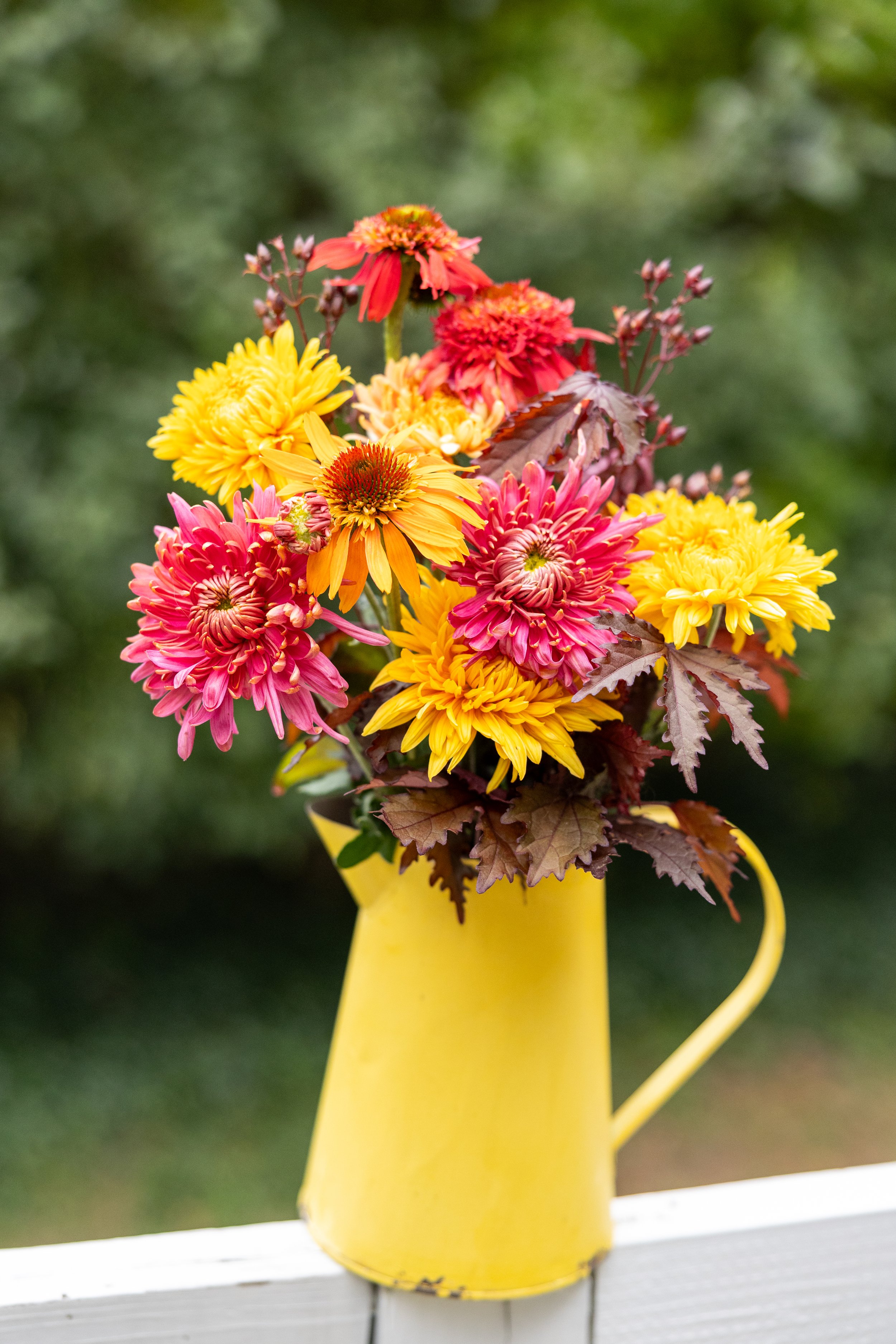 Syracuse-Product-Photographer_004_Flower-Farm-SHP_0045.jpeg