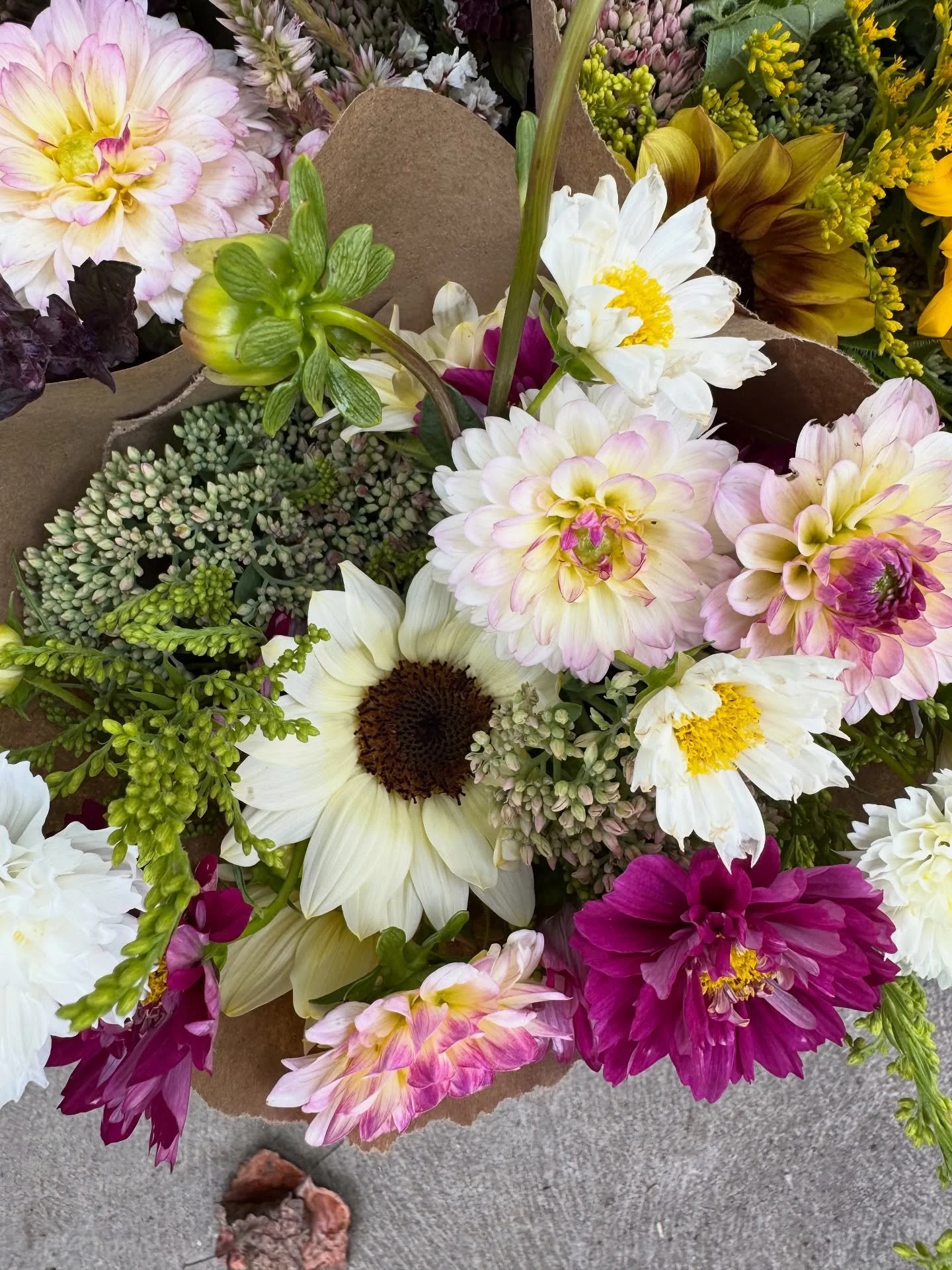 Oh August, you were a tough bird&hellip; The weather definitely put us through our paces the eighth month of 2025.  Long periods of incredibly high temps and no rain were suddenly disrupted by violent storms and late September temperatures.  Somehow 