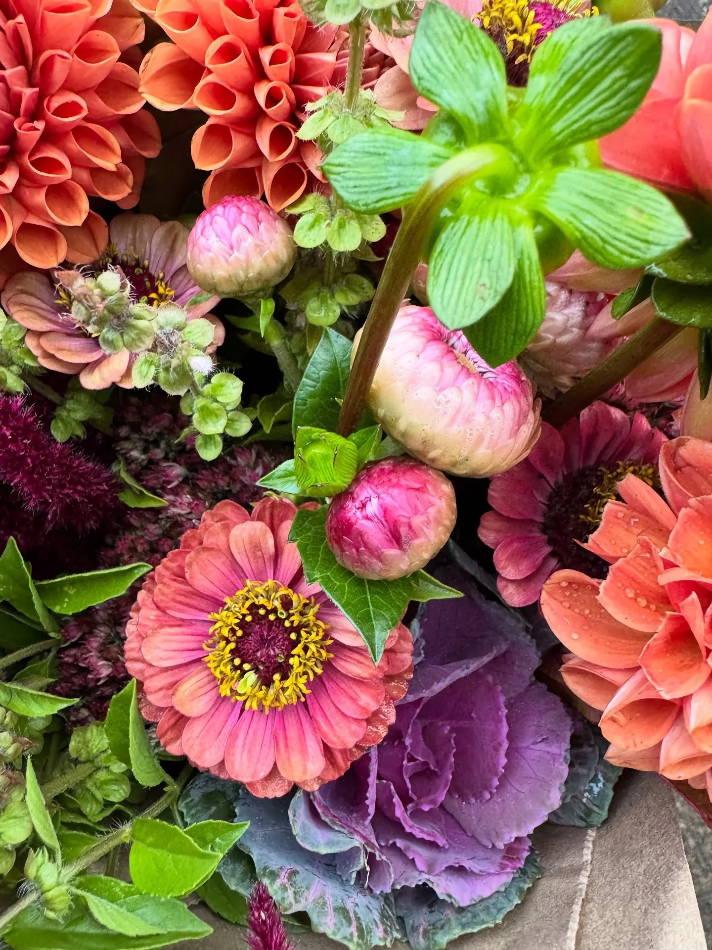 Market bouquet of the week is live!

Head over to the website to snag either a straight dahlia bunch or mixed dahlia bouquet for pickup Thursday- Monday. 

On farm pickup only, no same day order ✌🏻

Need something larger, custom ordering is always o