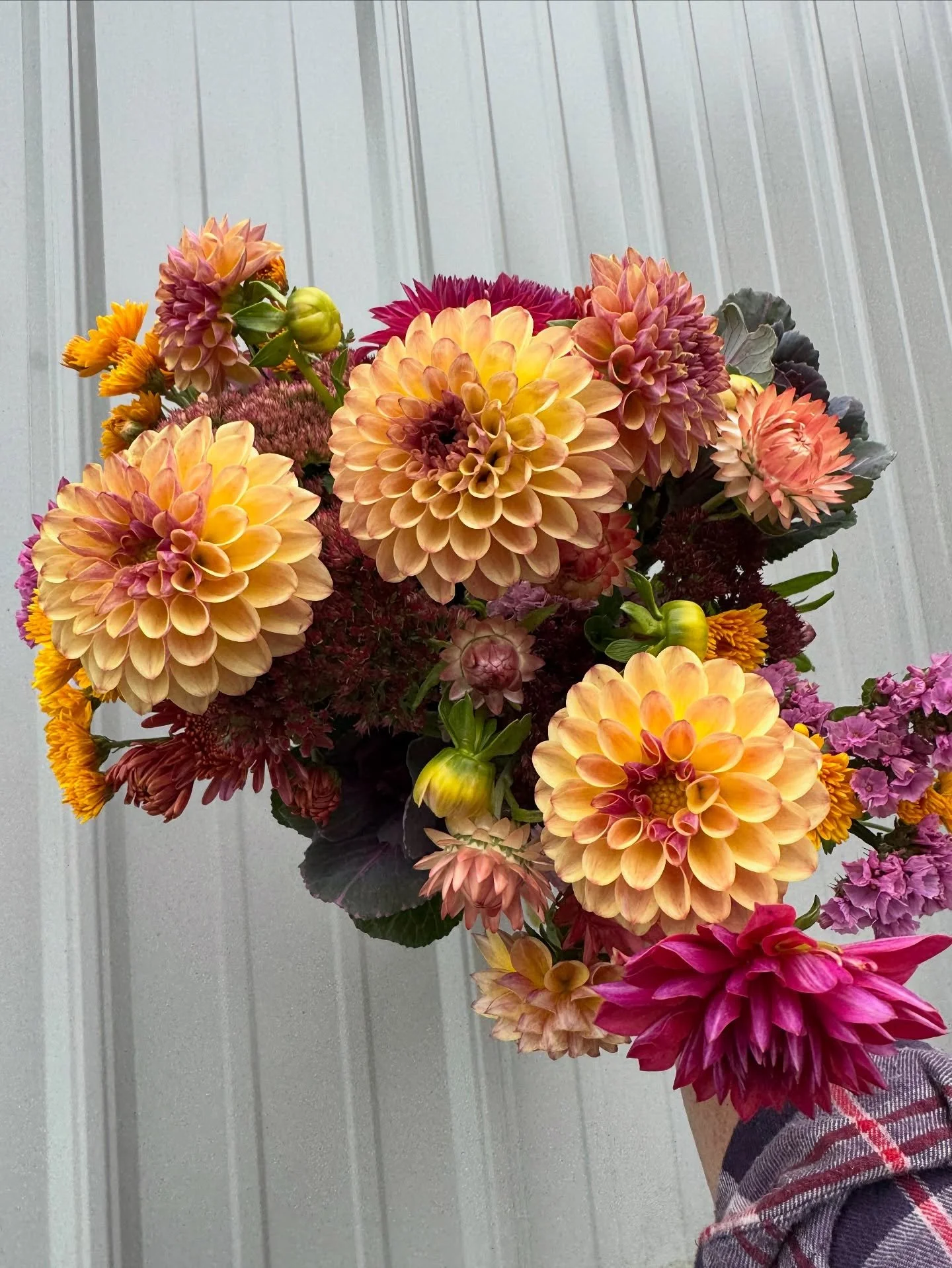 Huge thank you to everyone who bought flowers this weekend as part of our cooler clean out, and extra special gratitude to the friends, family and flower fans who reached out in support of the frost last week. 

I&rsquo;m humbled by the love you all 