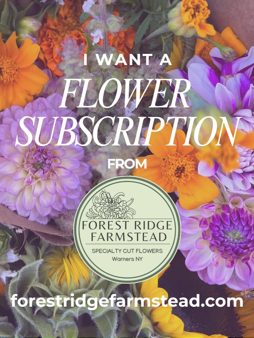 Okay y&rsquo;all, it&rsquo;s 20 days till Christmas and we are done being subtle. If you want a Forest Ridge Farmstead flower subscription under the tree, make sure that you share this post or steal this image! 
Consider this your grownup letter dire