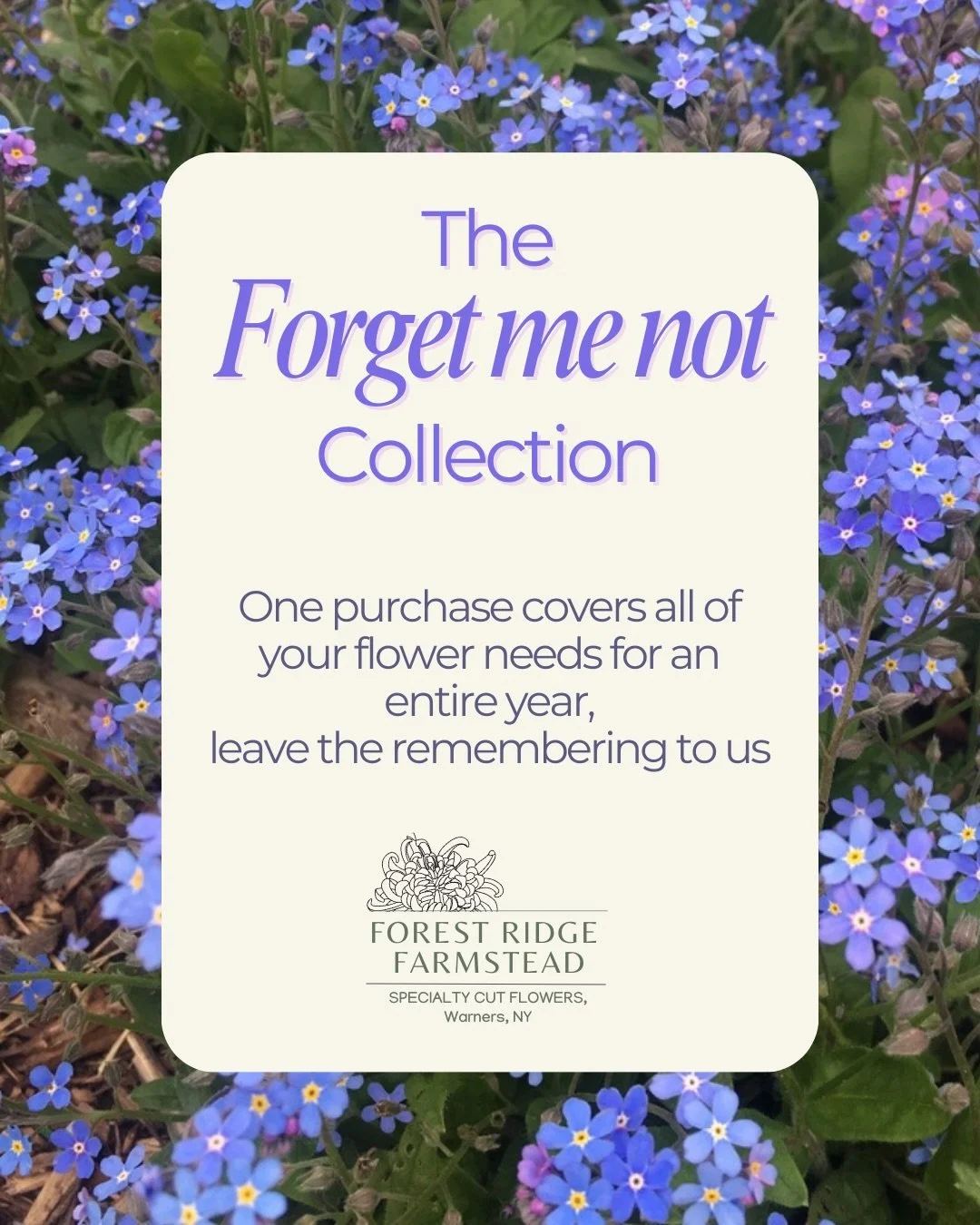 You don&rsquo;t normally buy flowers from us, but someone you love does.  Maybe you keep missing our presale despite setting reminders.  Or it just seems like these important flower holidays sneak up on you, and you&rsquo;re left shopping at the last