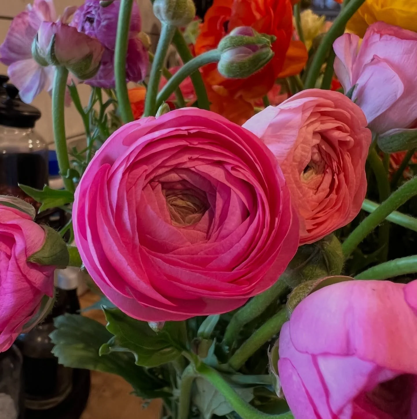 Flower Friday- Ranunculus

Who knew something so beautiful could start from something so ugly?  These delicate beauties, with petals for days, are grown from corms, spider-shaped bulbs that reproduce underground.  While grown worldwide, ranunculus th