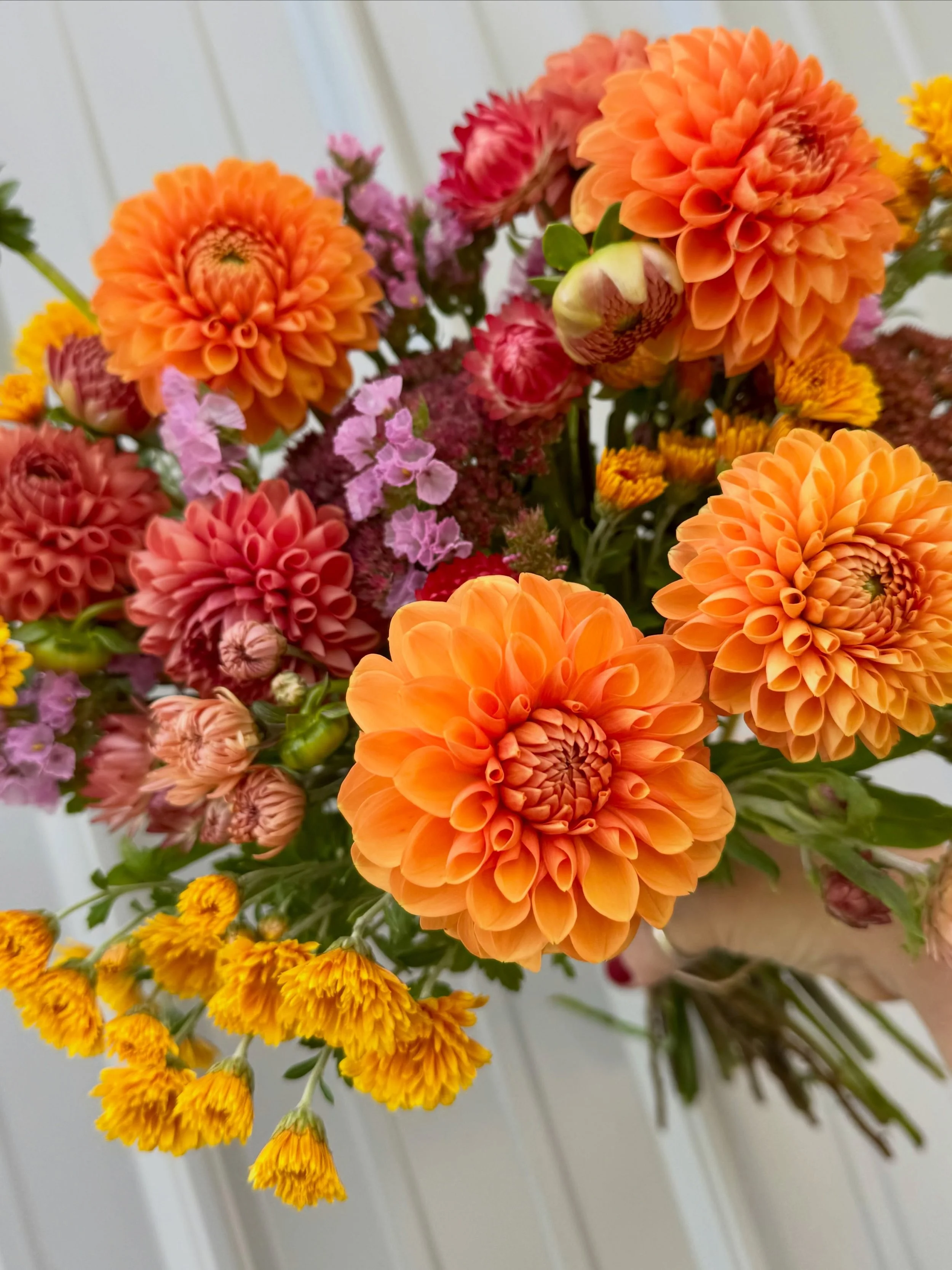 Did you miss our Mother&rsquo;s Day pre-sale? There&rsquo;s still time to gift mom an entire season&lsquo;s worth of flowers. We have subscription options available on the website deliveries could be as early as next week!