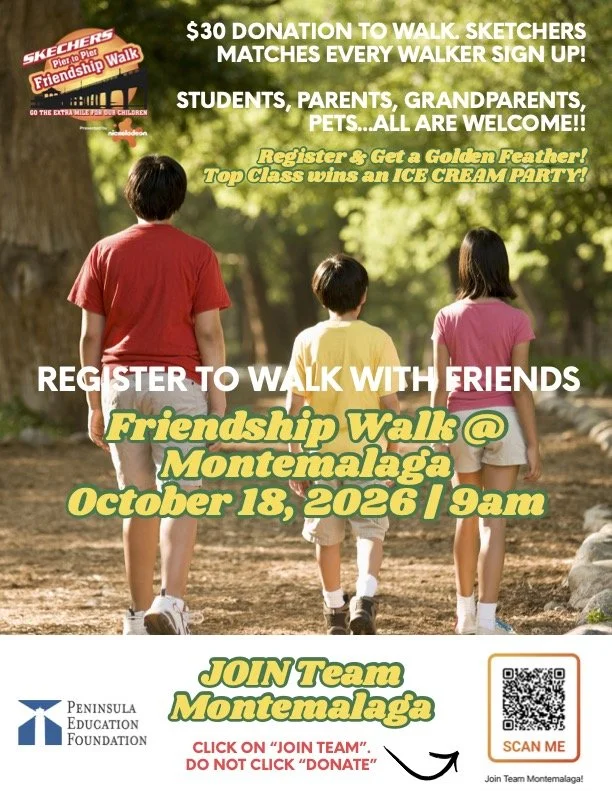 Skechers Walk Fundraiser