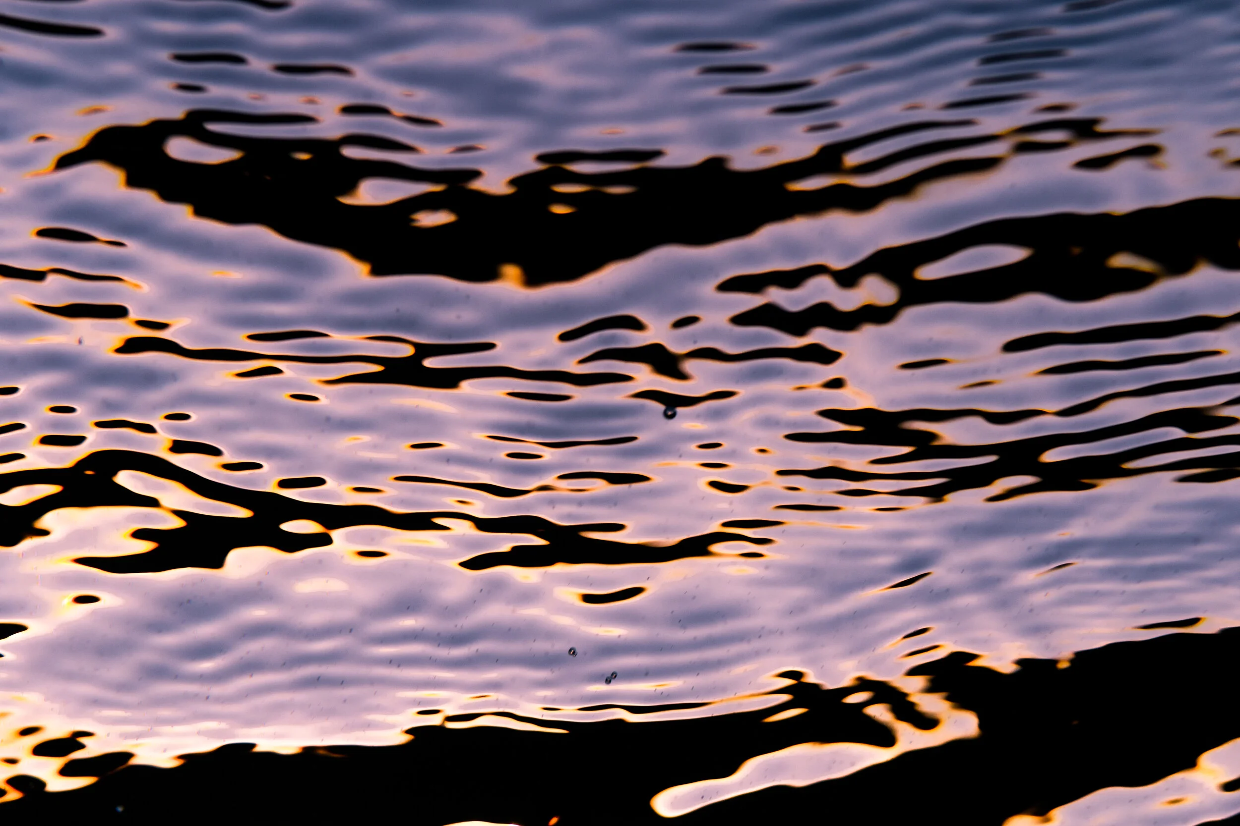 FX8A2414edited.jpg
