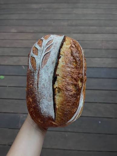 Sourdough Baking