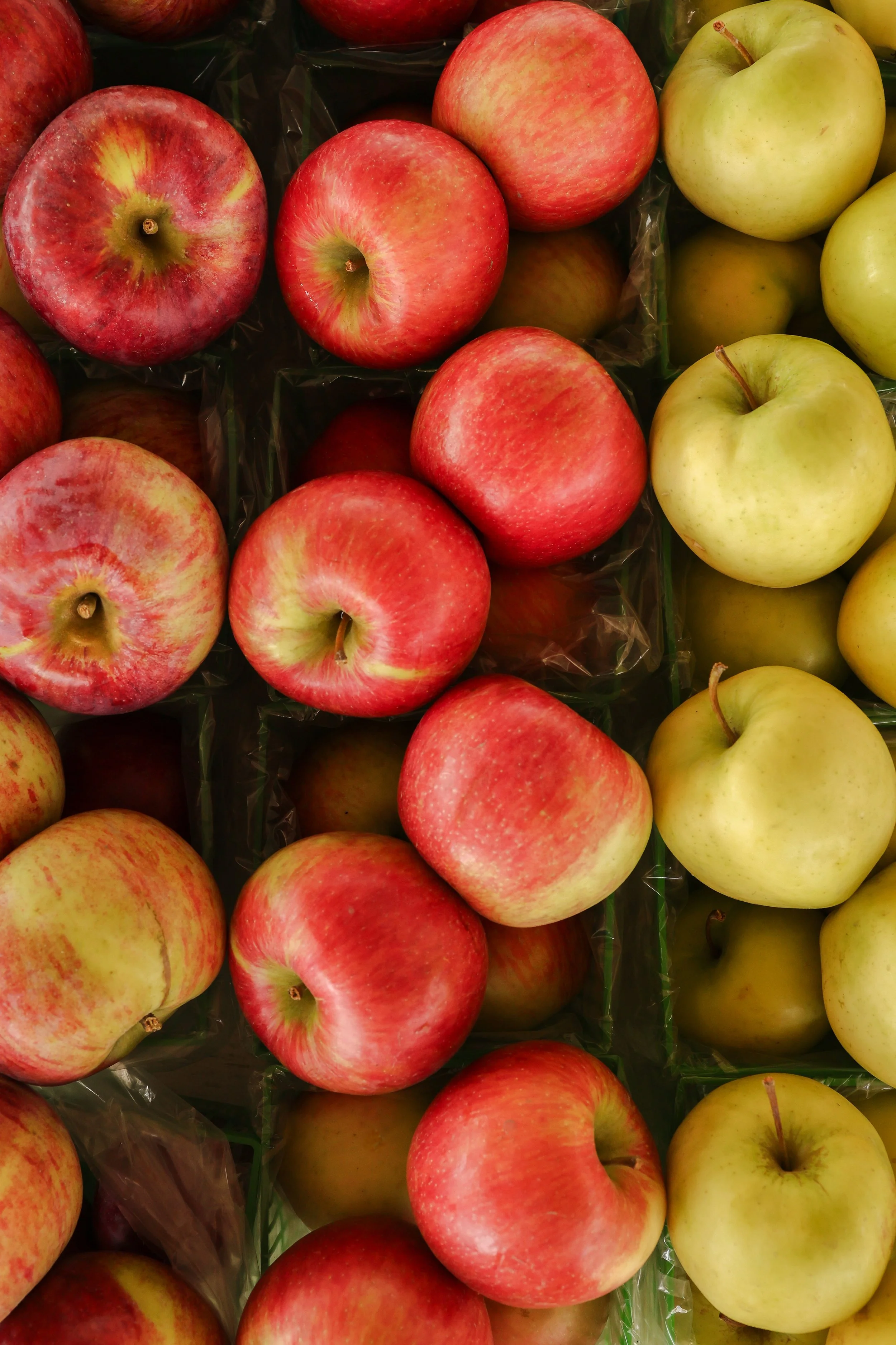 Apples