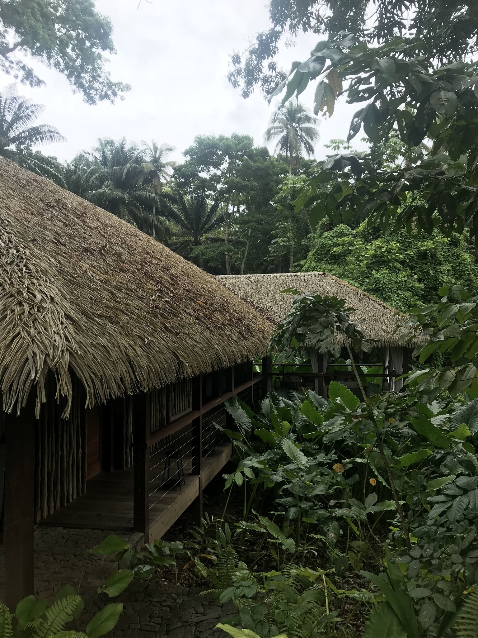 The hotel lobby, surrounded by the lush jungle.