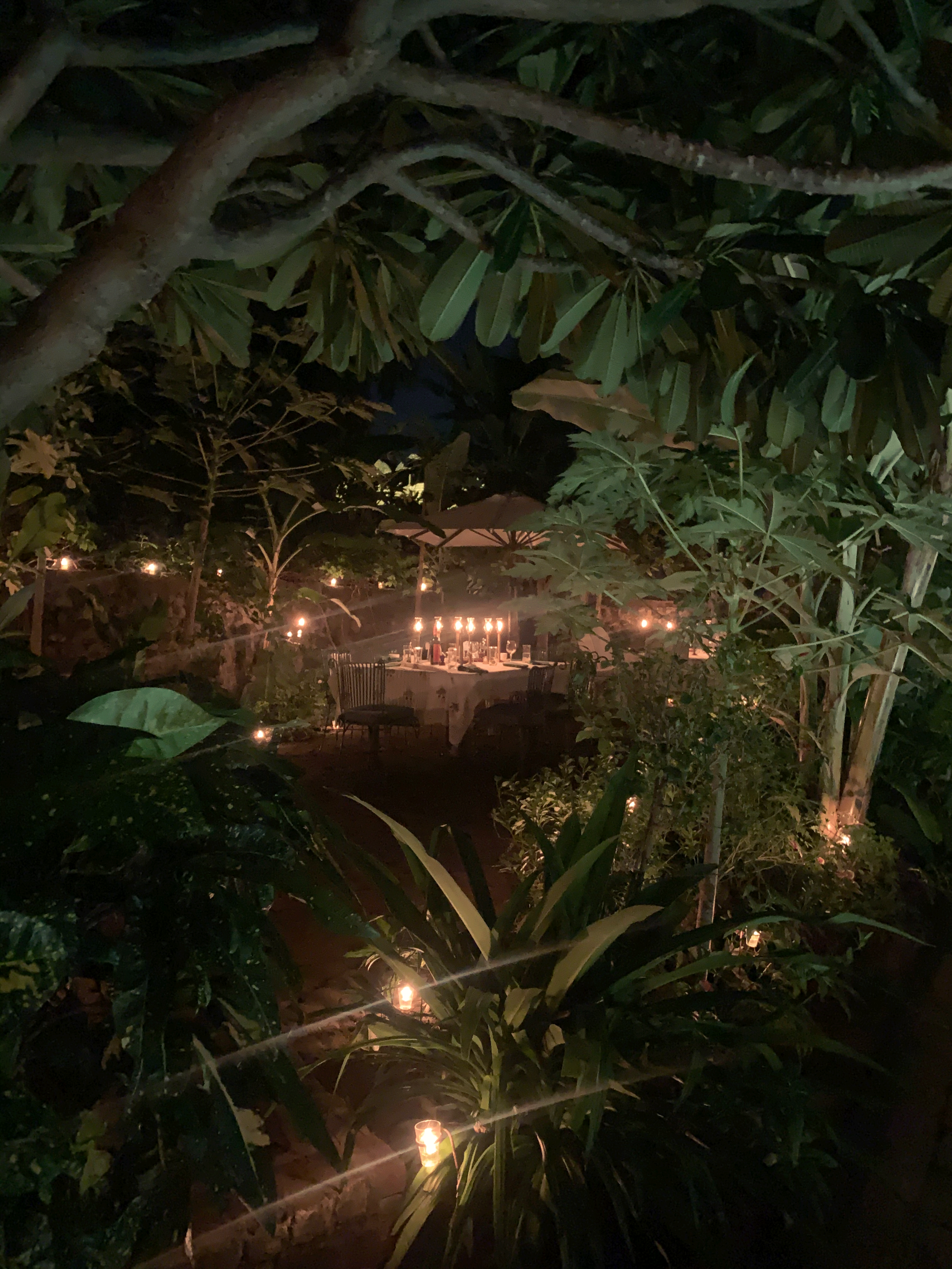 A peek into an outdoor dinner setting.