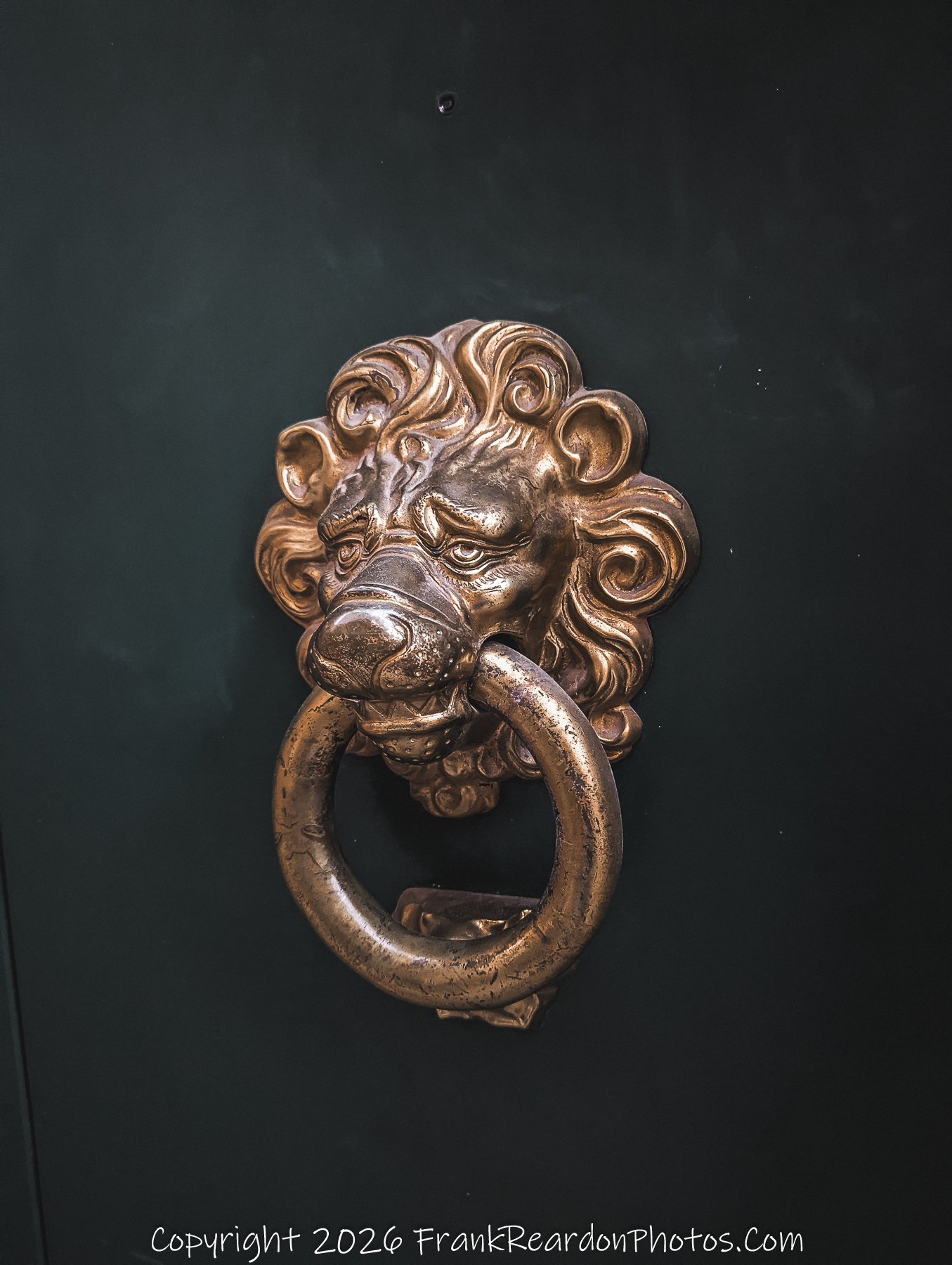 "Lion Door Knocker" A brass lion's head door knocker mounted on a dark green surface.