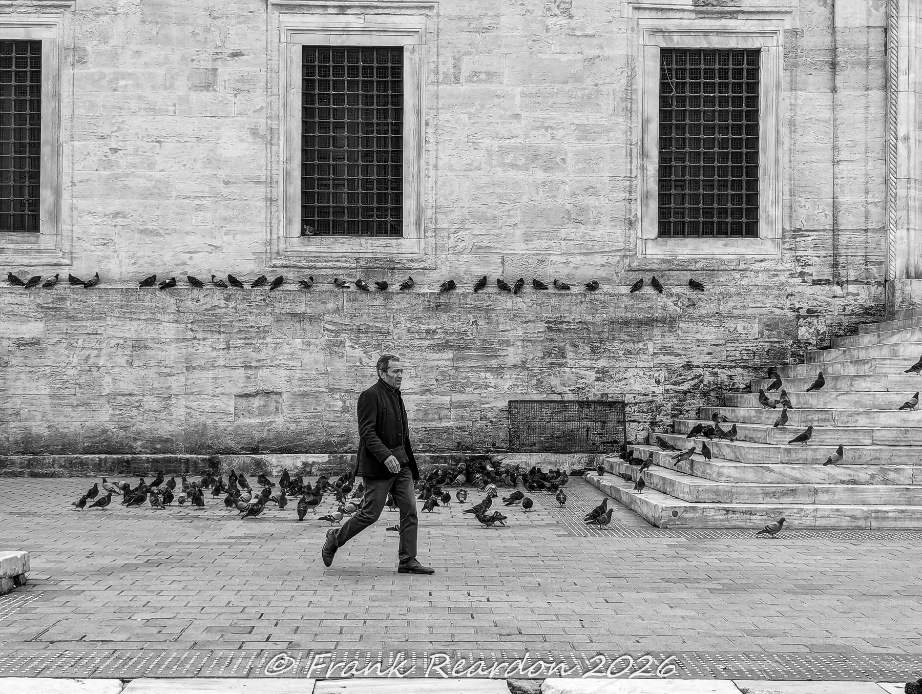A black-and-white view of a pedestrian walking past stone walls, arched windows, and a large gathering of pigeons in an Istanbul square.