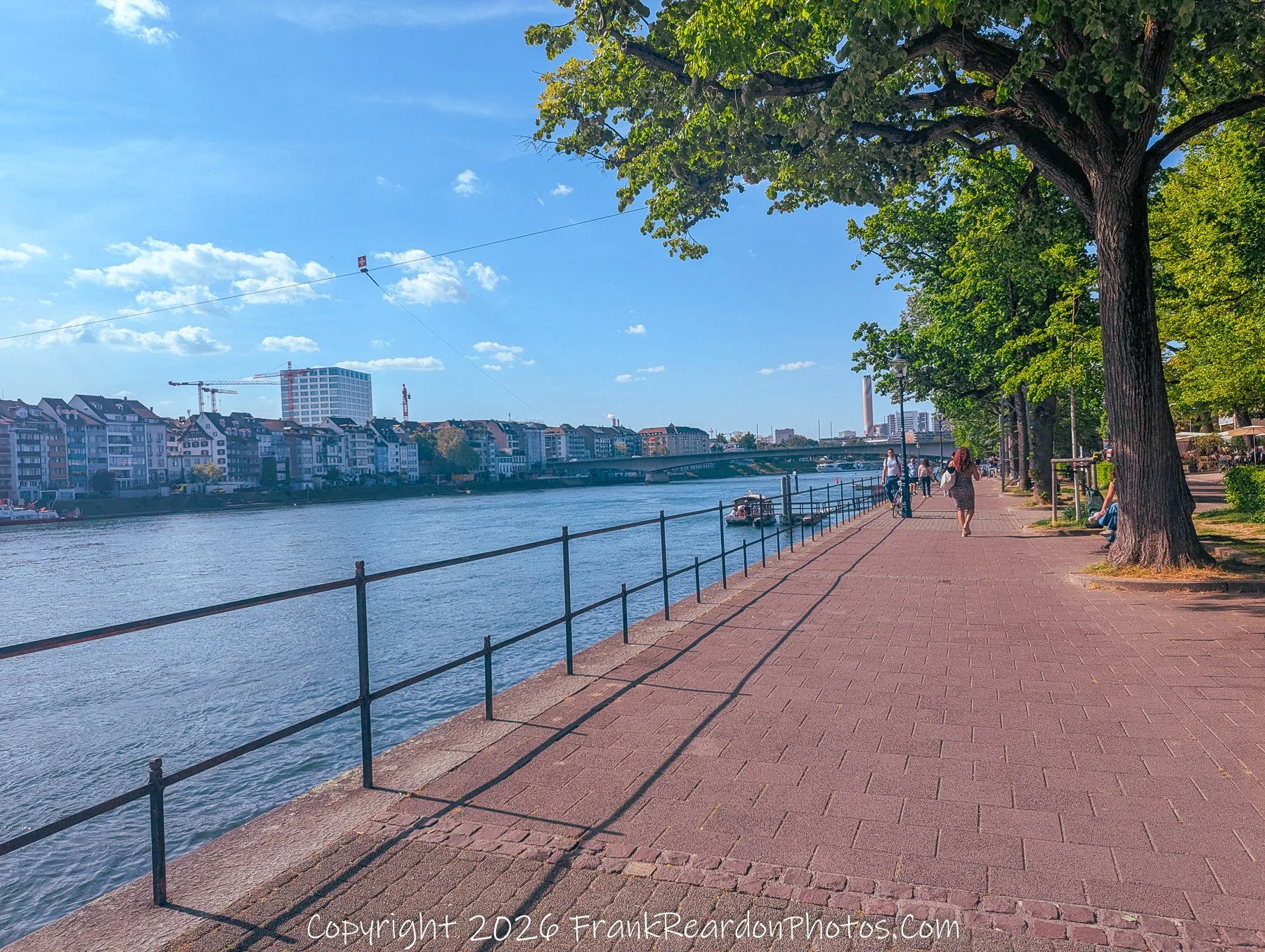 “Riverside Rhythm” The promenade unfolds in light and shade, where walkers and cyclists trace the calm pulse of the Rhine.