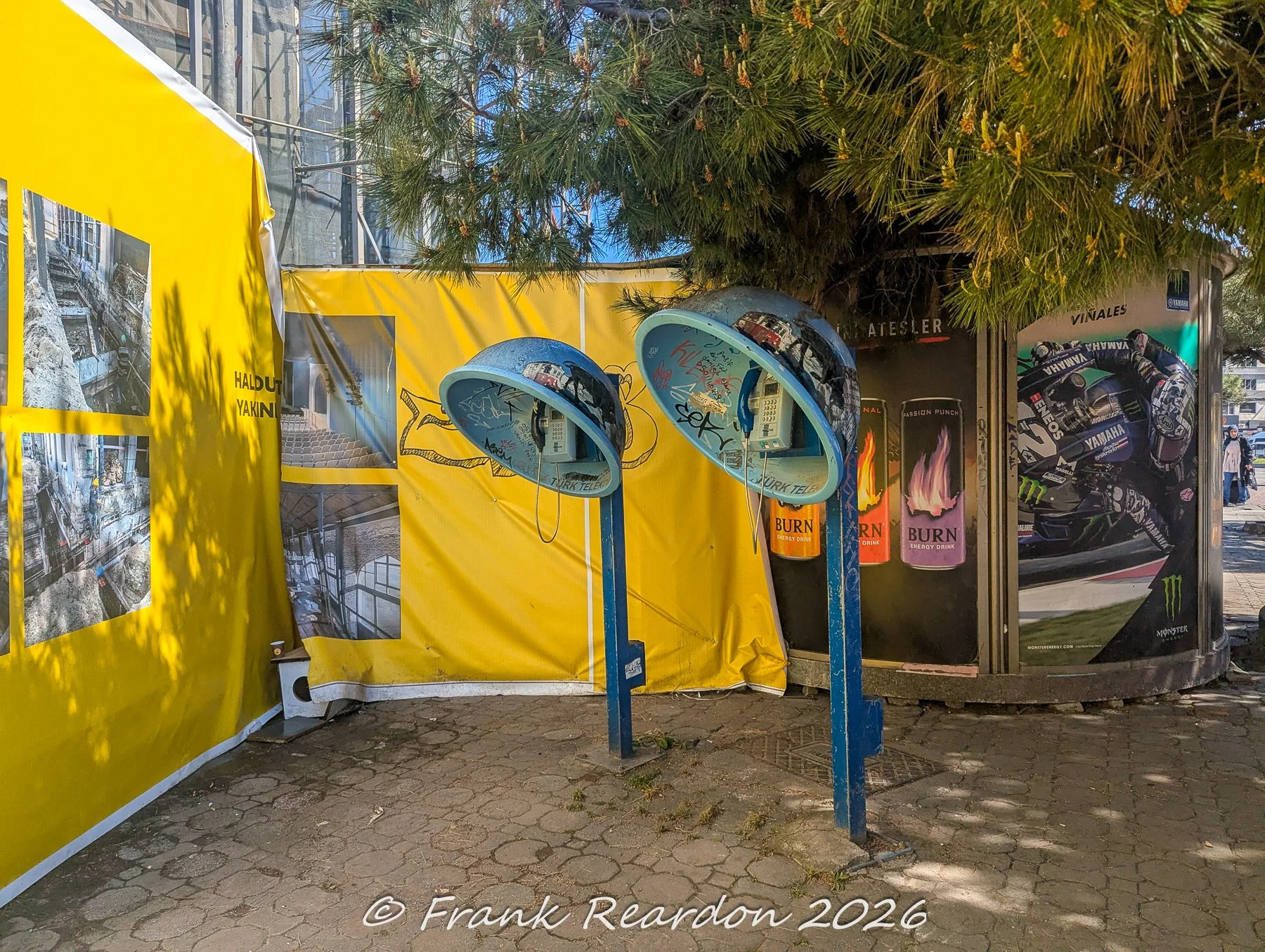 A pair of blue Türk Telekom public payphones standing under a pine tree next to a yellow construction barrier and advertisements.