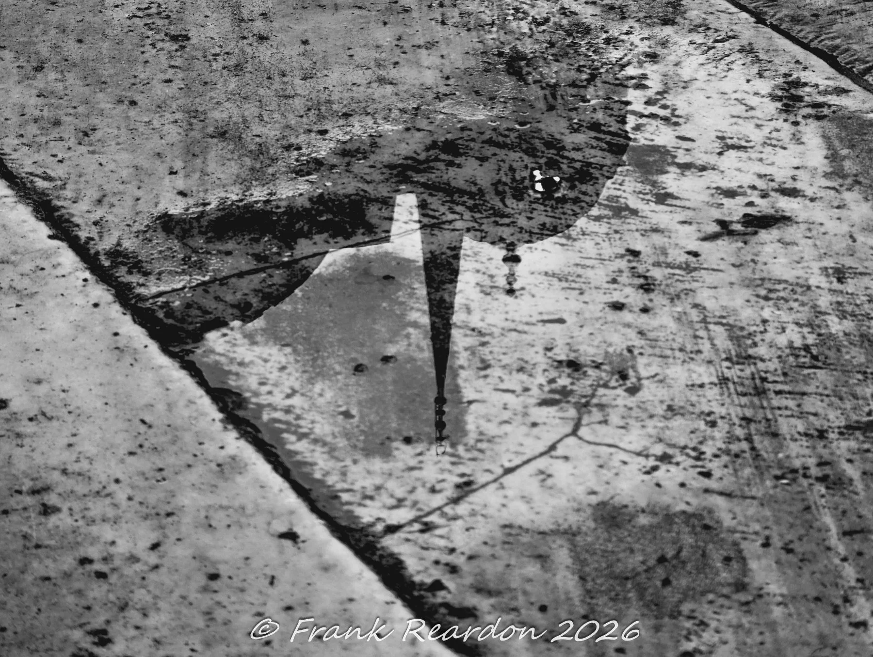 An abstract black-and-white shot capturing a reflection of a minaret in a puddle on the stone courtyard pavement of the Blue Mosque.