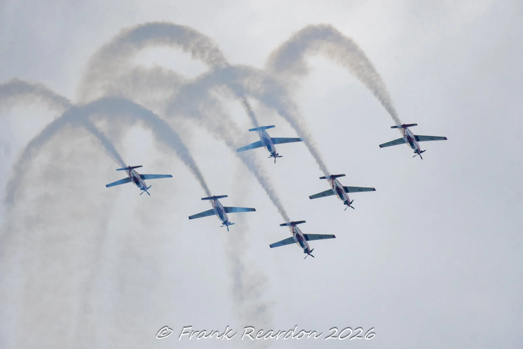 _A649241.jpg
