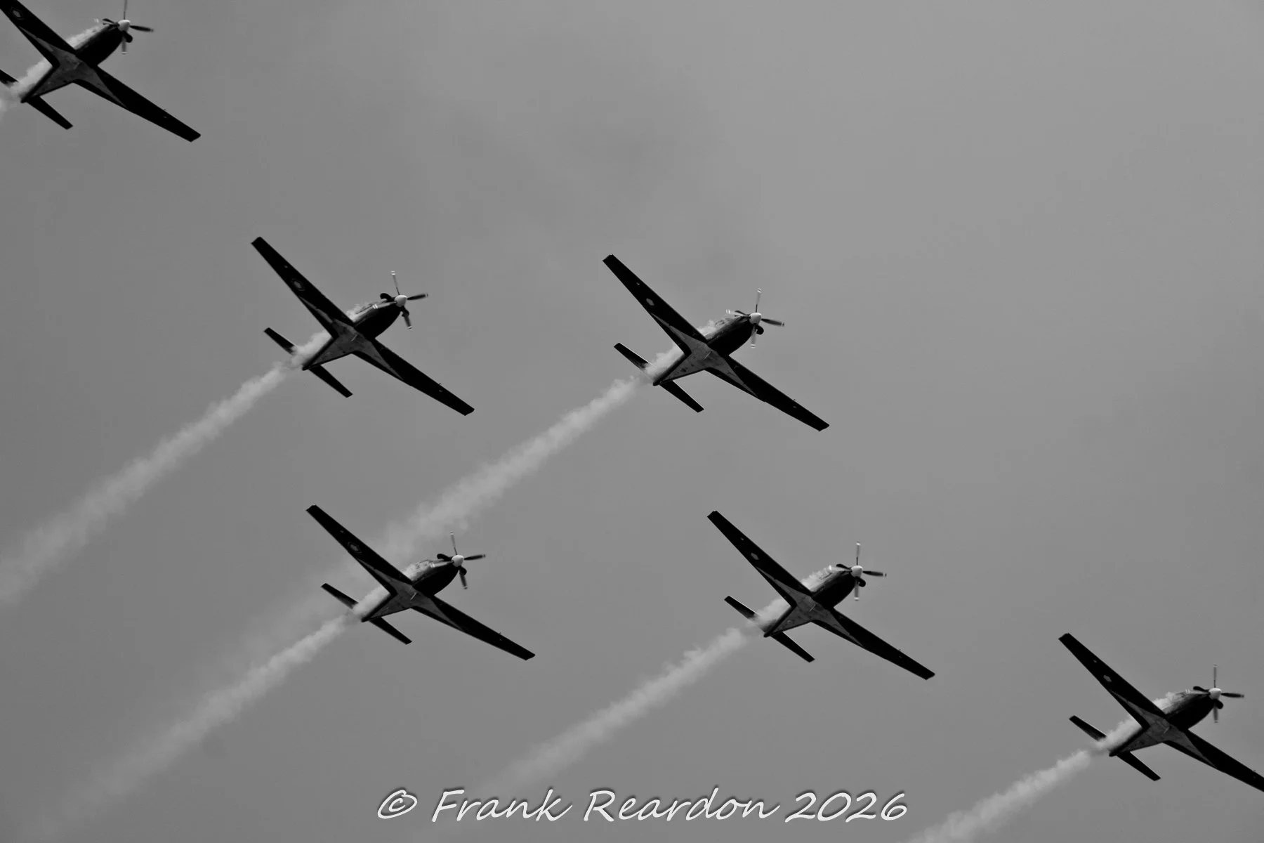 _A649207.jpg