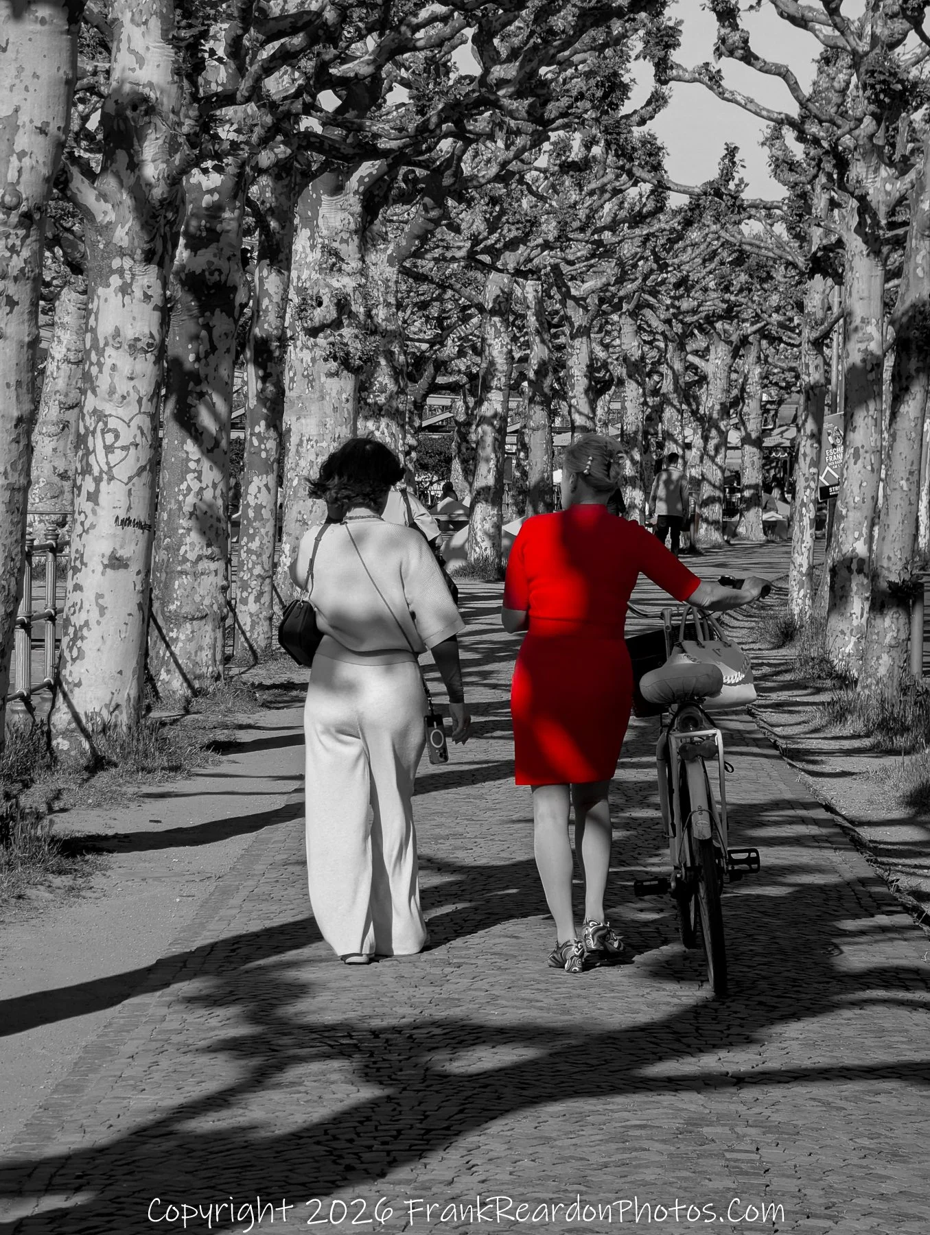Tree-Lined Walkway – Black & White with Selective Red Color
“A Walk in Red – Contrast in Motion”