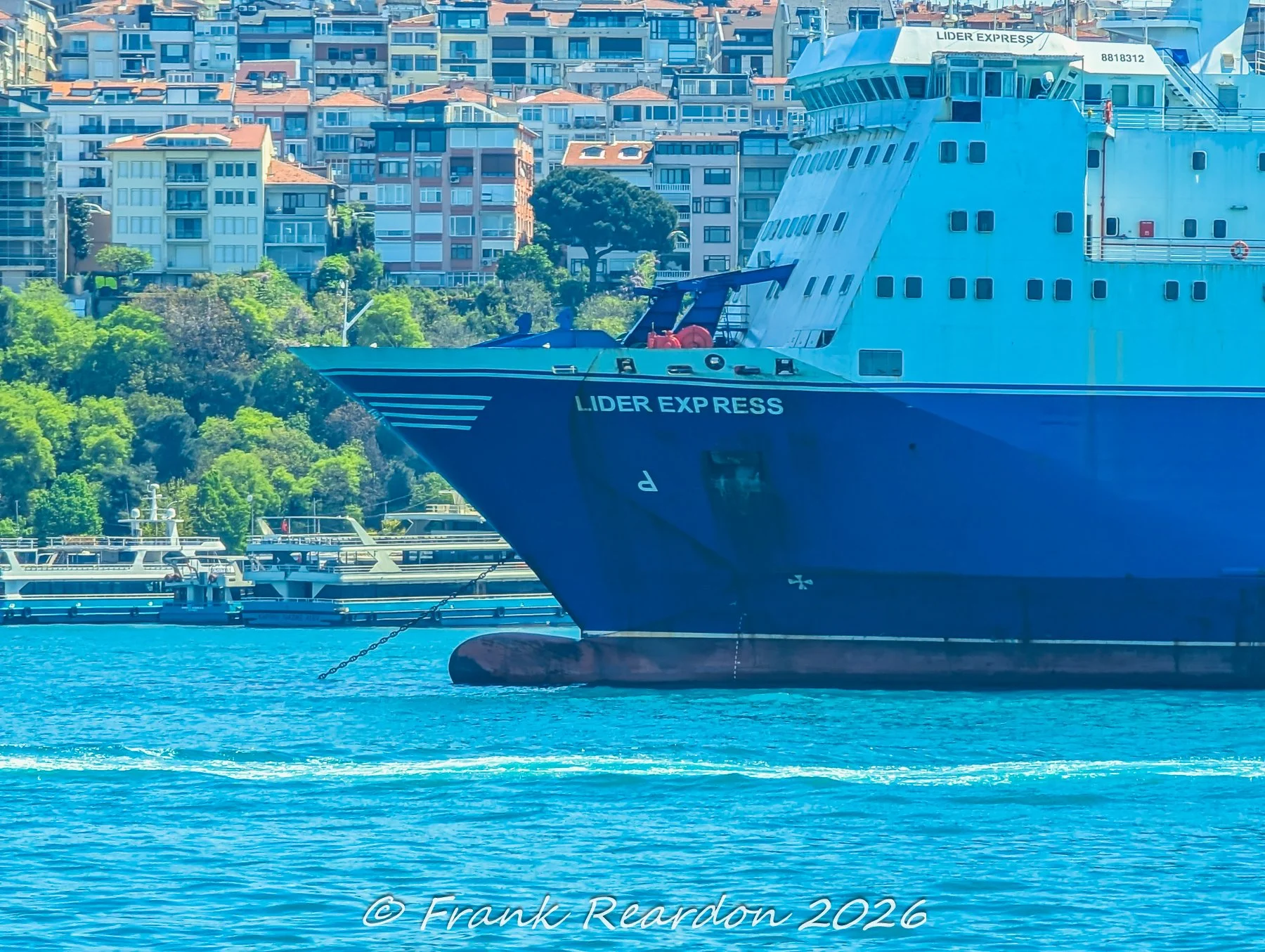 A close-up view of the bright blue bow and bridge structure of the Lider Express vessel anchored in the harbor against a backdrop of hillside residential buildings.