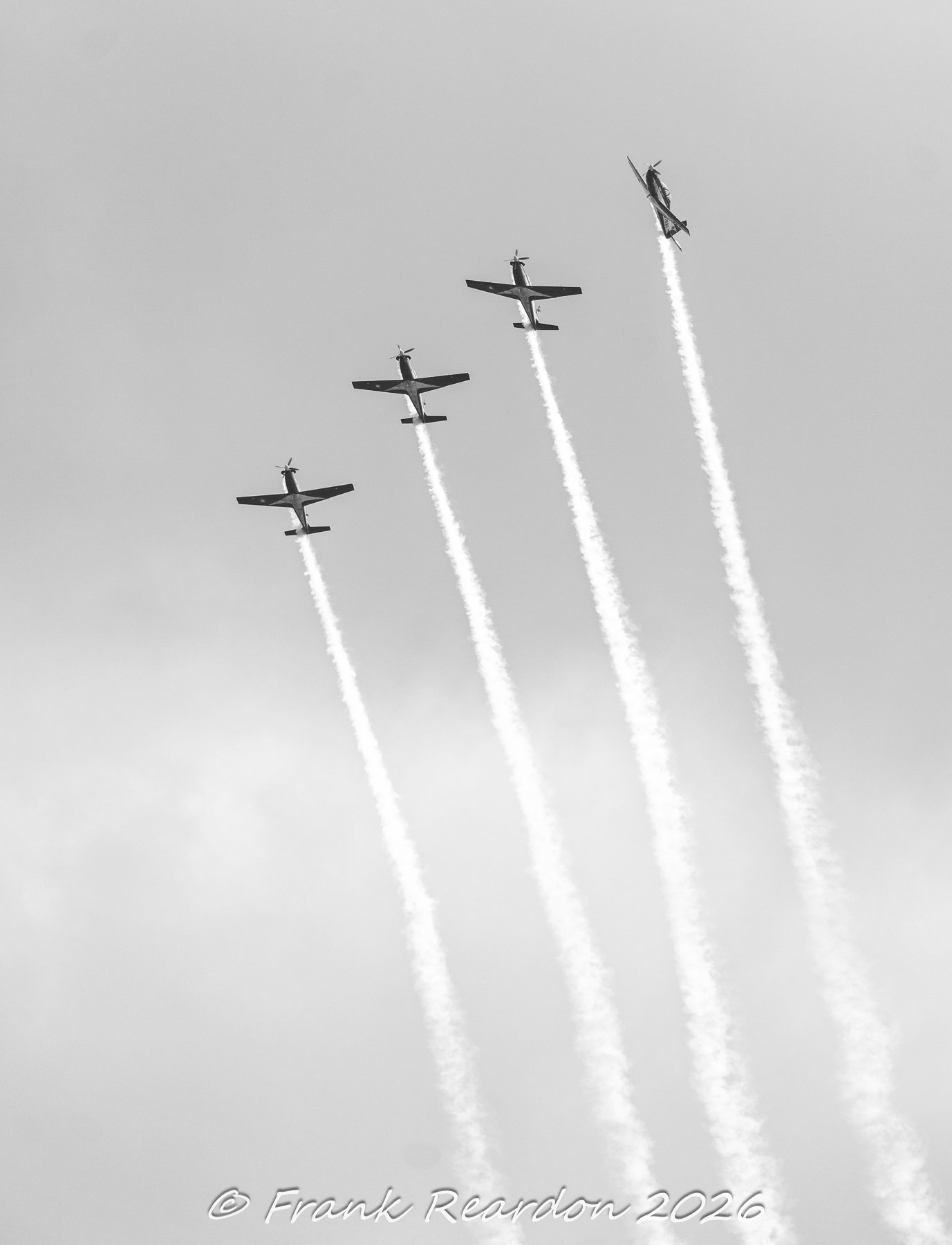 _A649331.jpg