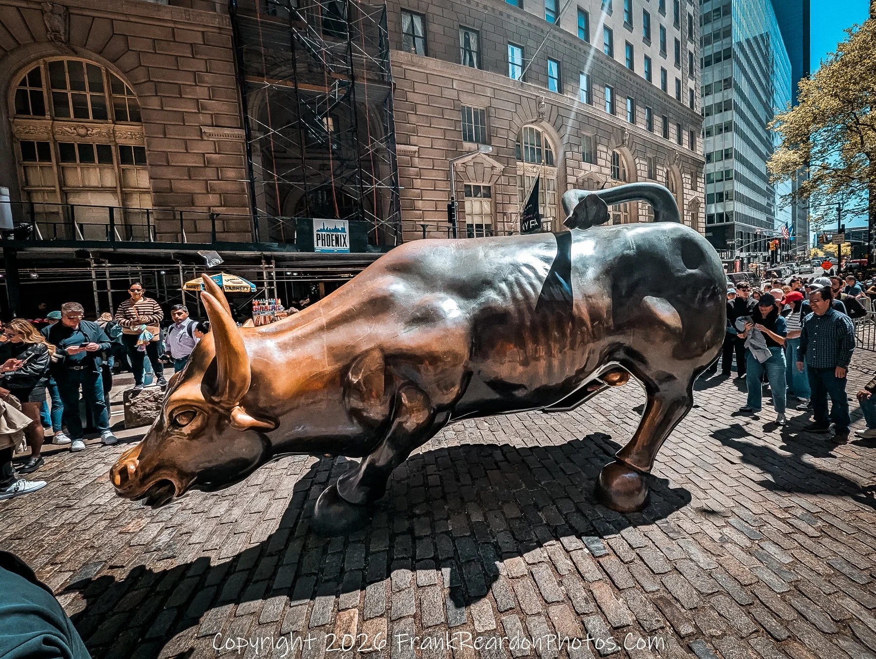 “Wall Street Bull”