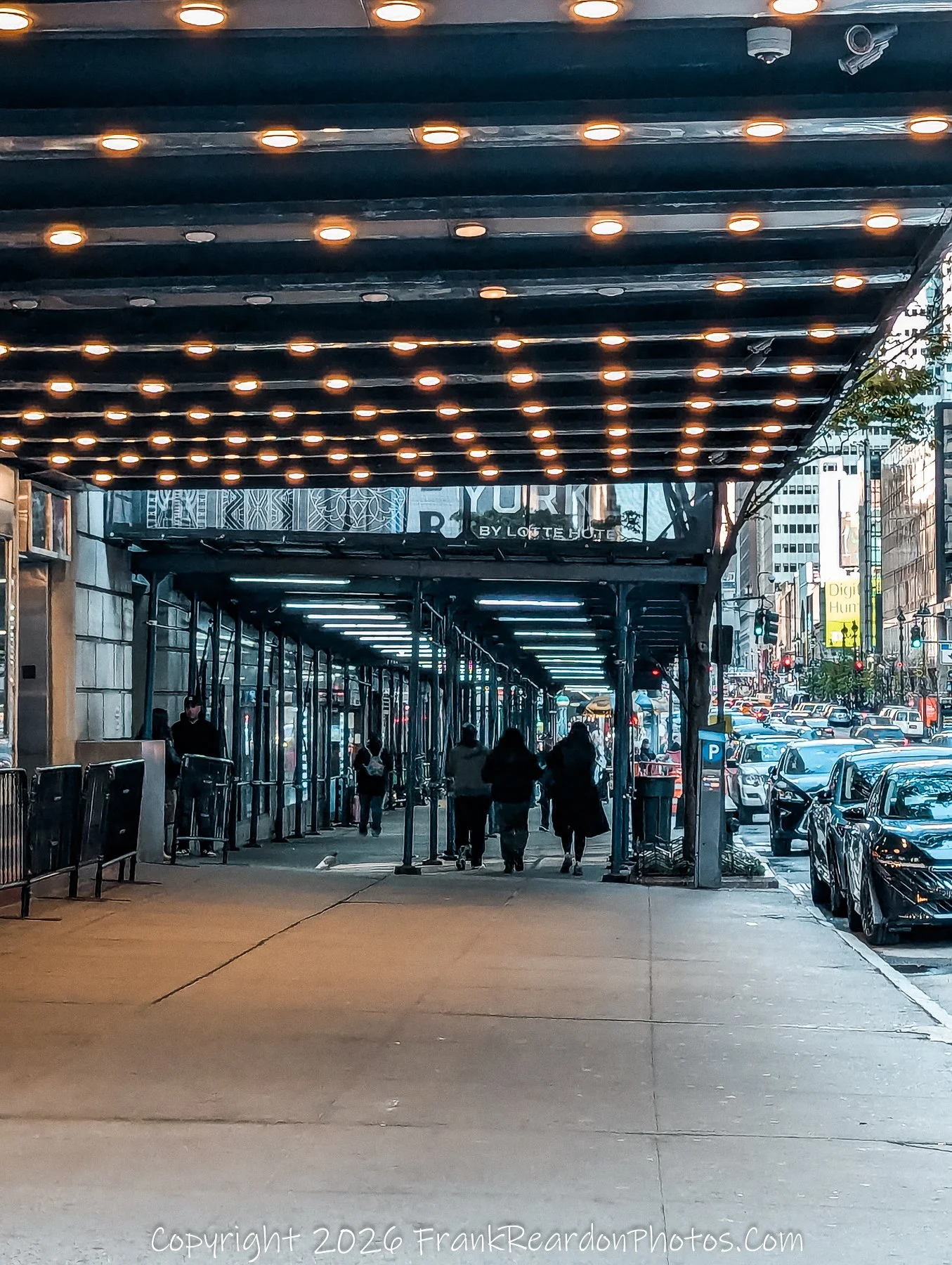 “Under the Canopy: City Lights and Motion”