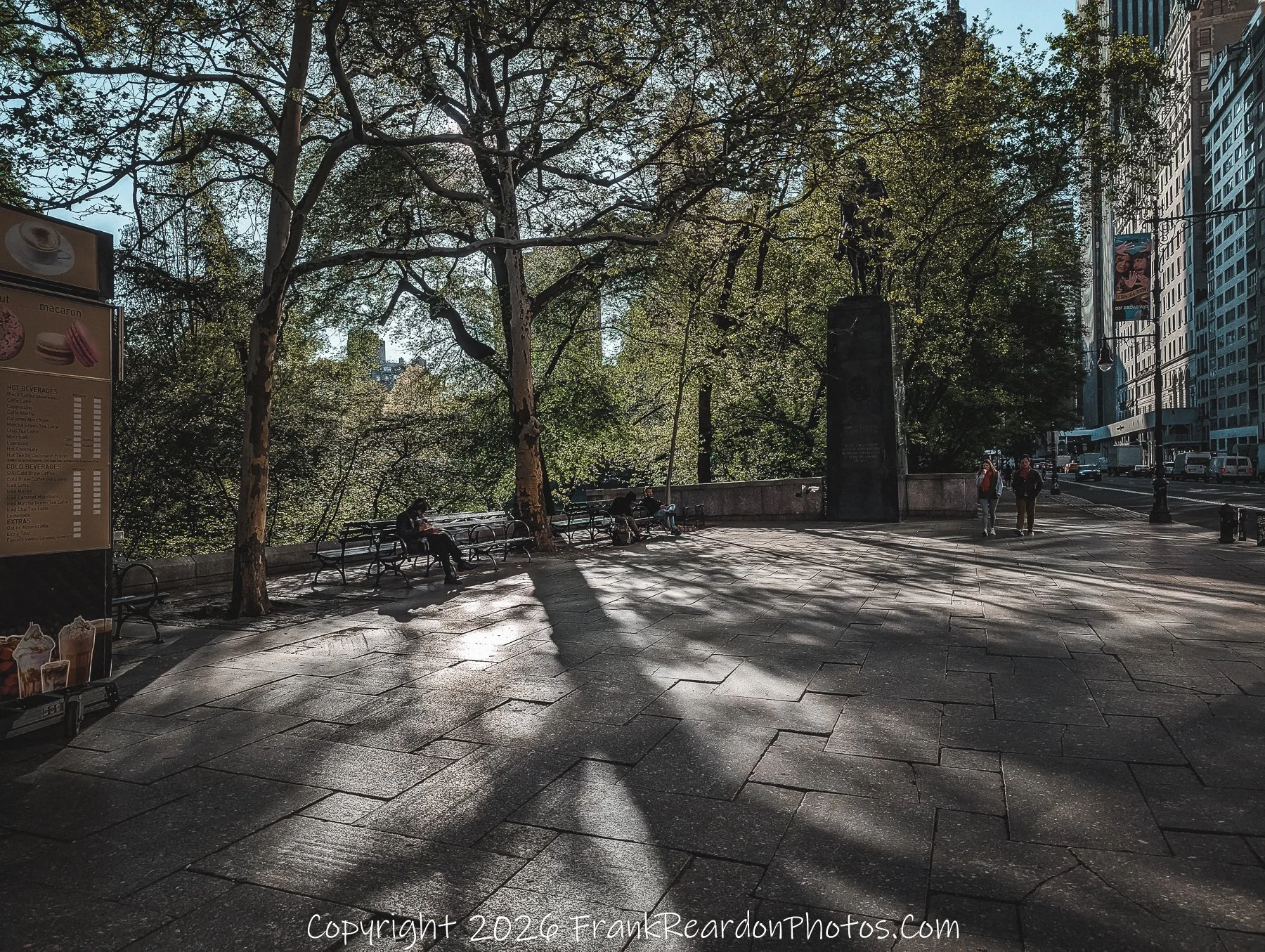 "Central Park Edge: Light Through the Leaves”