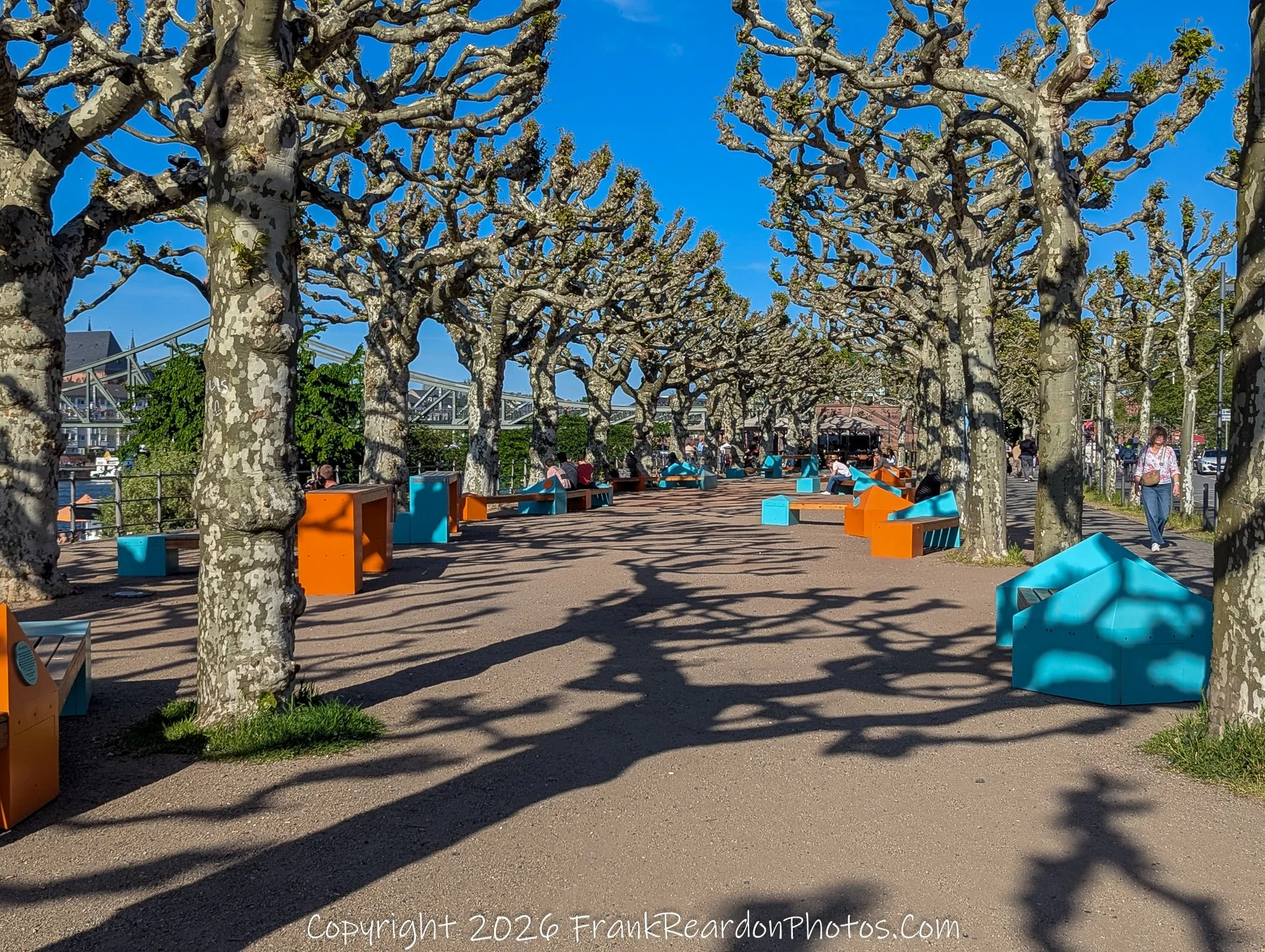 Riverside Promenade with Sculpted Trees and Seating
“Colour and Form – Frankfurt Riverside Walk”