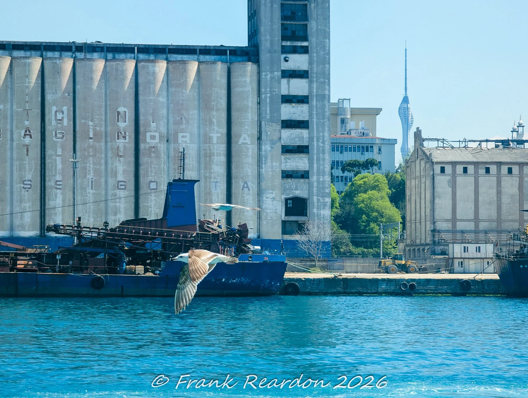 A vibrant daylight shot of weathered industrial grain silos at the port, featuring large faded lettering, a blue cargo vessel, and seagulls gliding across the water with the Çamlıca Tower visible in the distance.