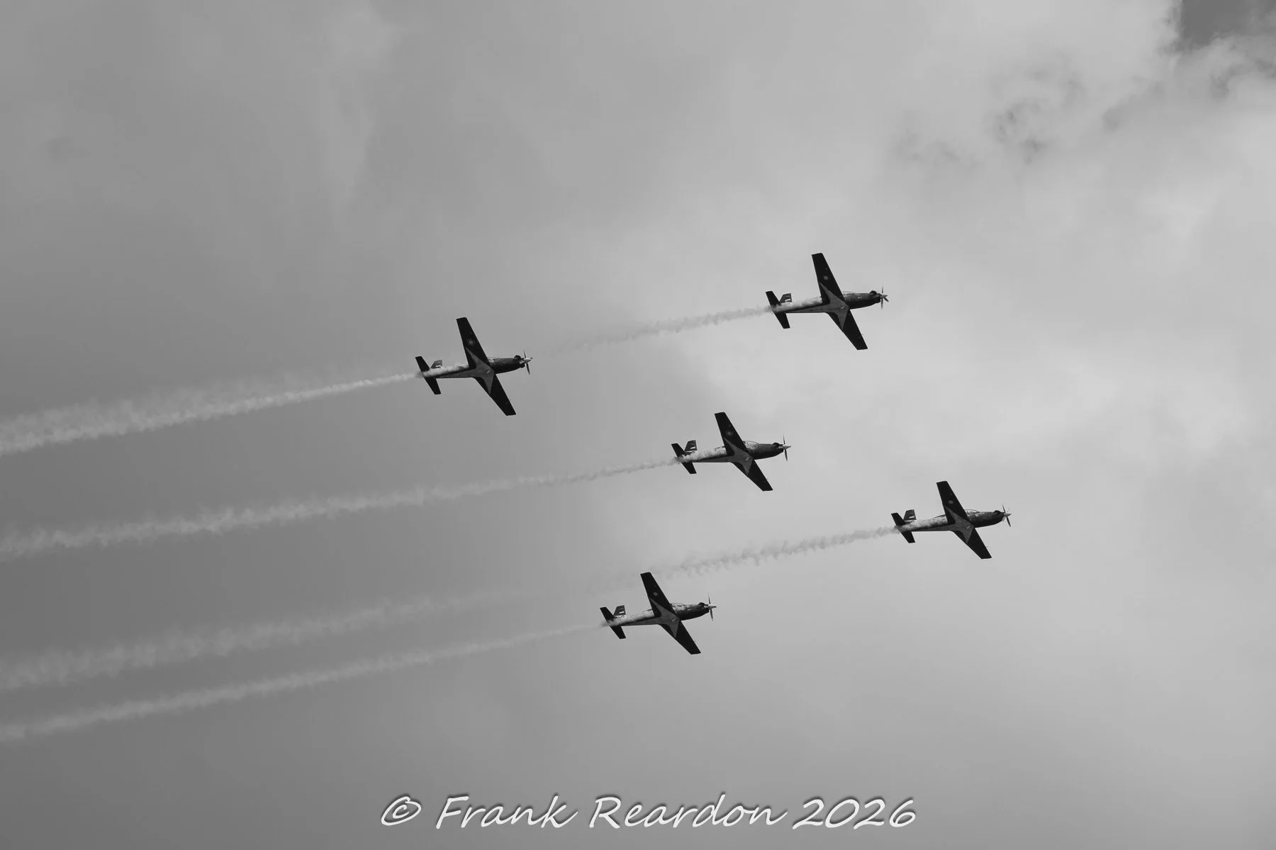 _A649362.jpg