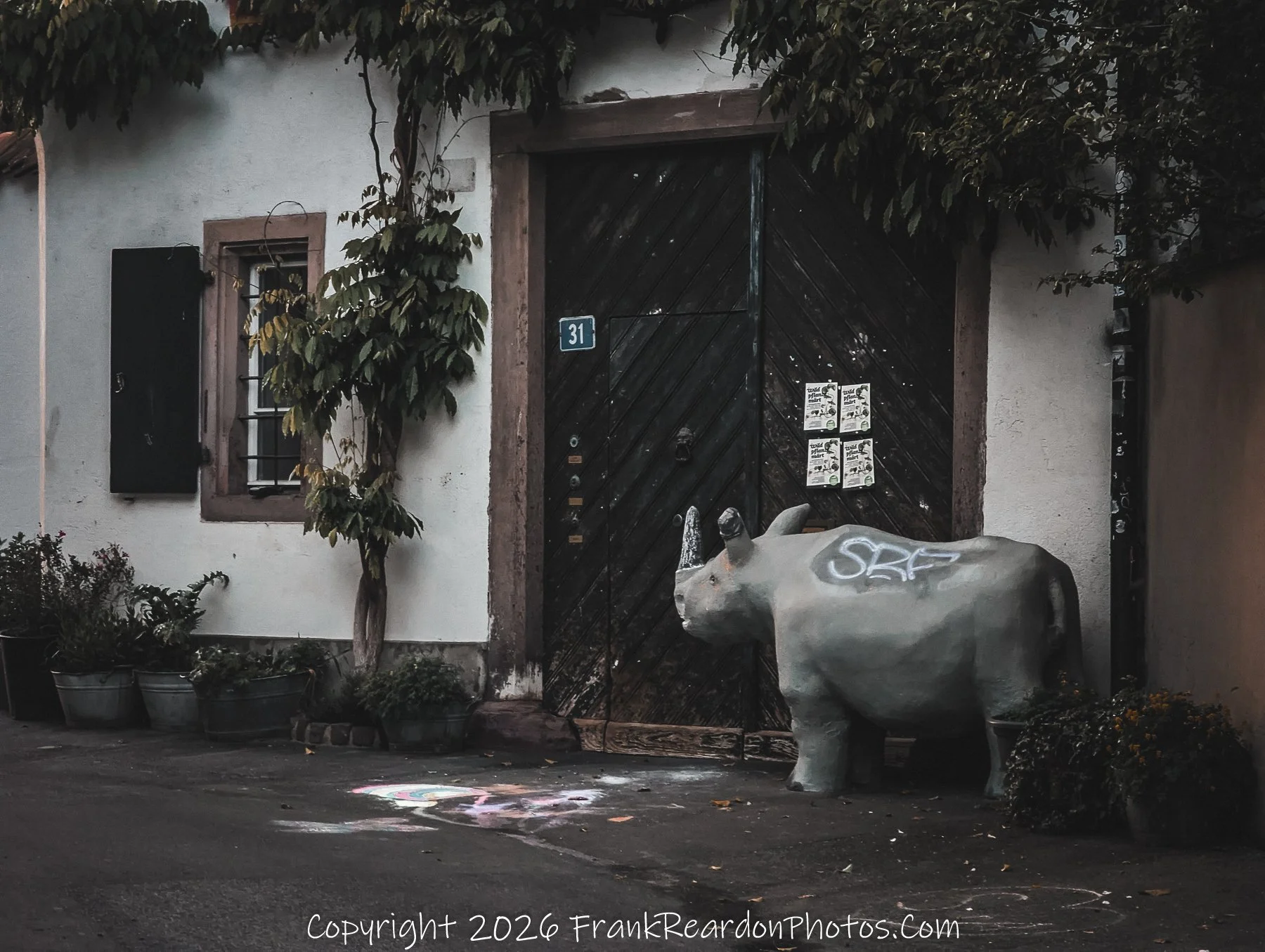 "Rhinoceros Statue" A grey rhinoceros statue standing in front of a wooden door marked with the number 31.