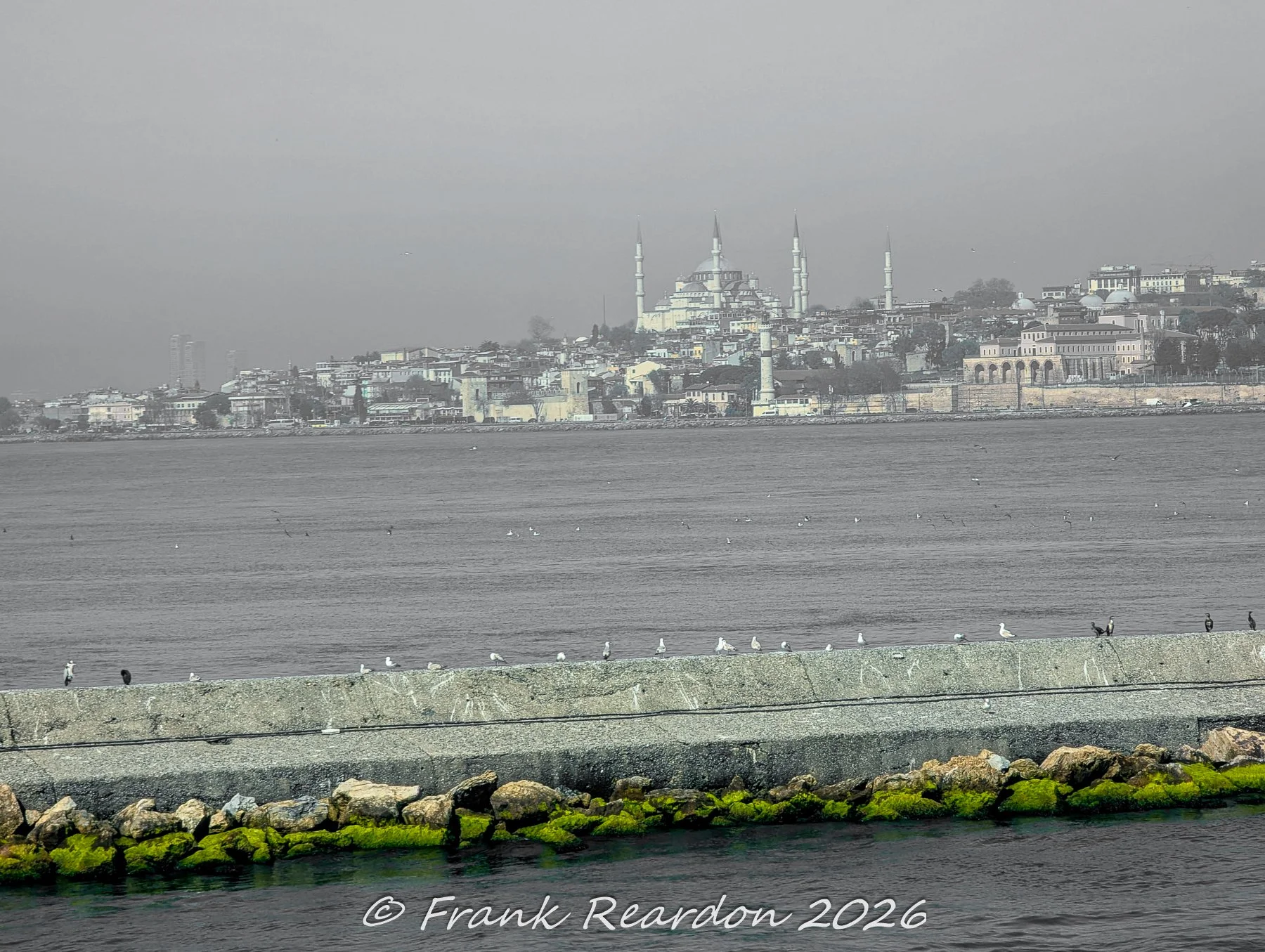 A black-and-white view across the water toward the Fatih district, highlighting the grand domes and minarets of the Süleymaniye Mosque behind the harbor wall.