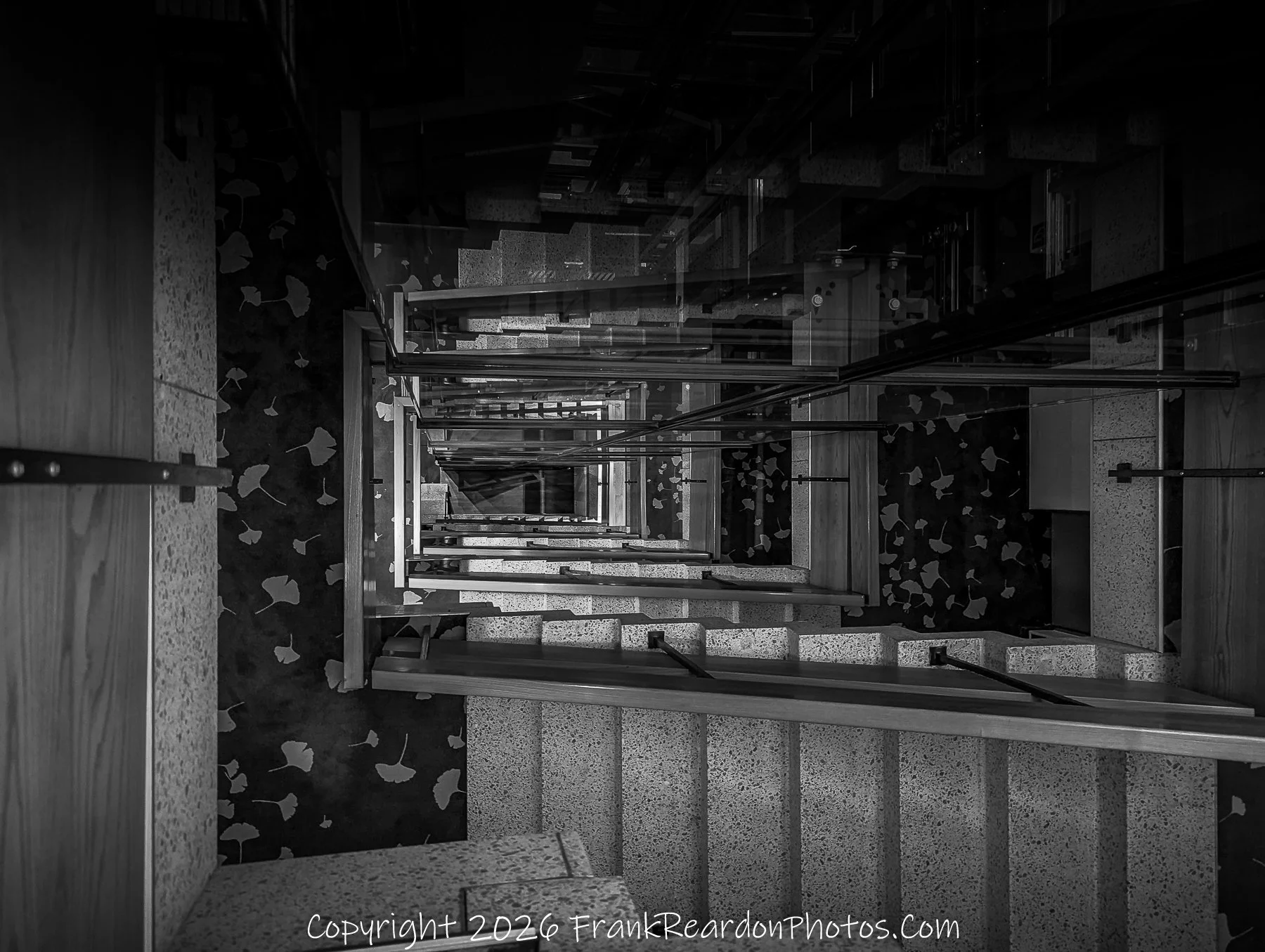 "Architectural Spiral Staircase" A high-contrast, black-and-white downward perspective of an interior staircase, featuring sleek railings and a patterned wall covered in ginkgo-leaf motifs.