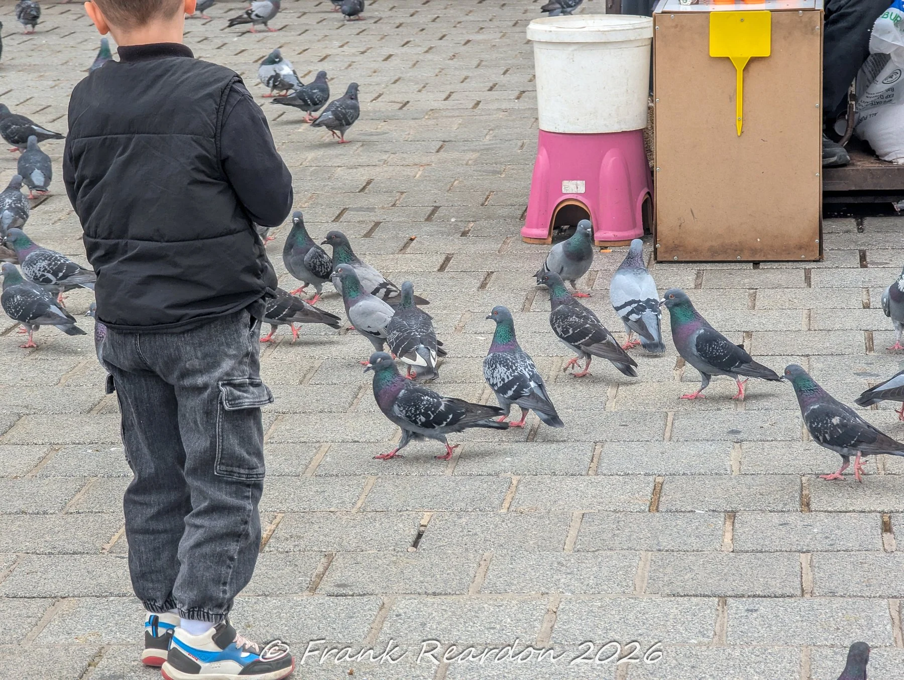 A young child standing on stone pavers surrounded by a large flock of pigeons in a public square or courtyard in Istanbul.