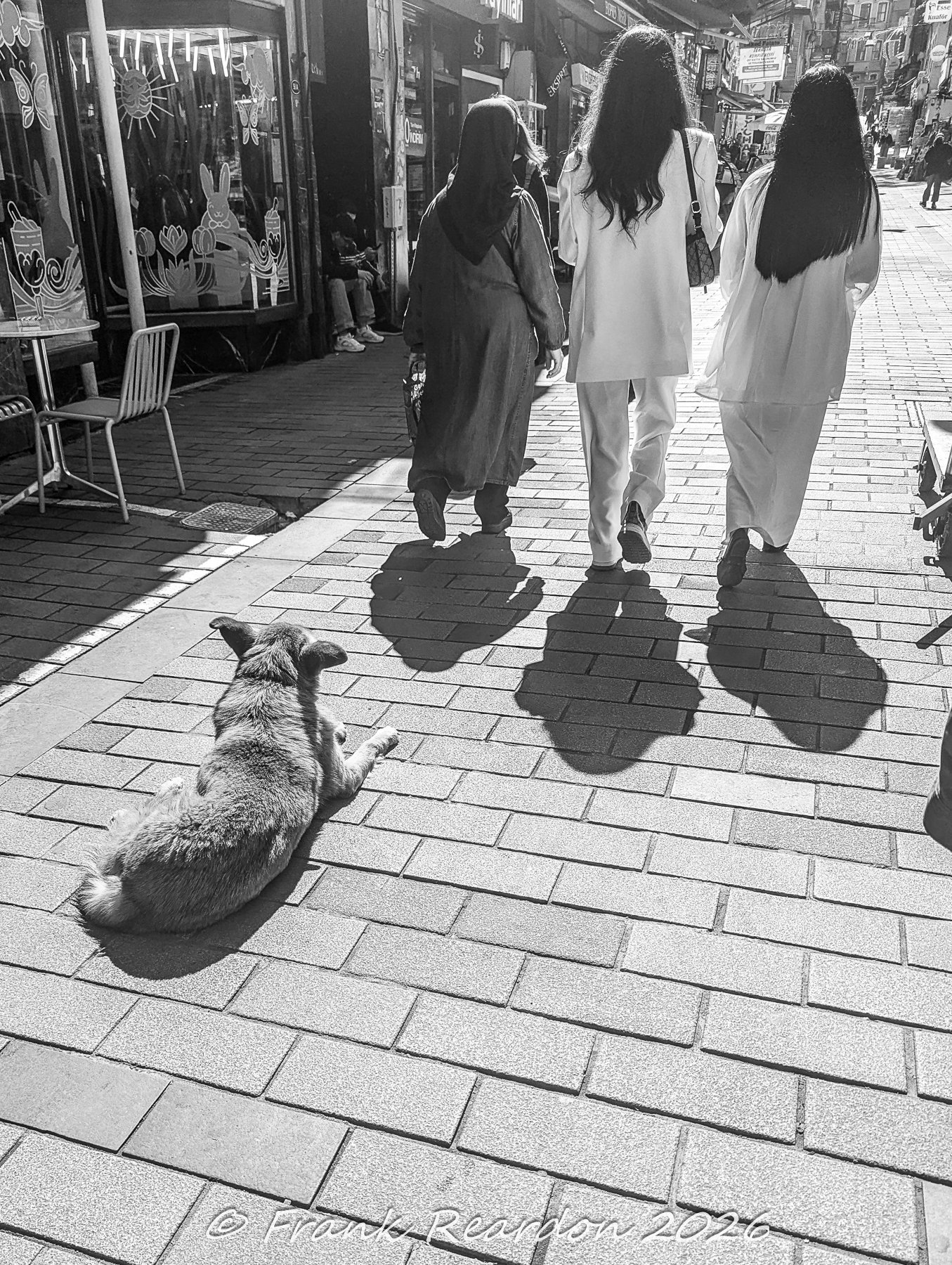 A black-and-white street scene on the historic stone pavement featuring a stray dog resting while pedestrians walk past storefronts.