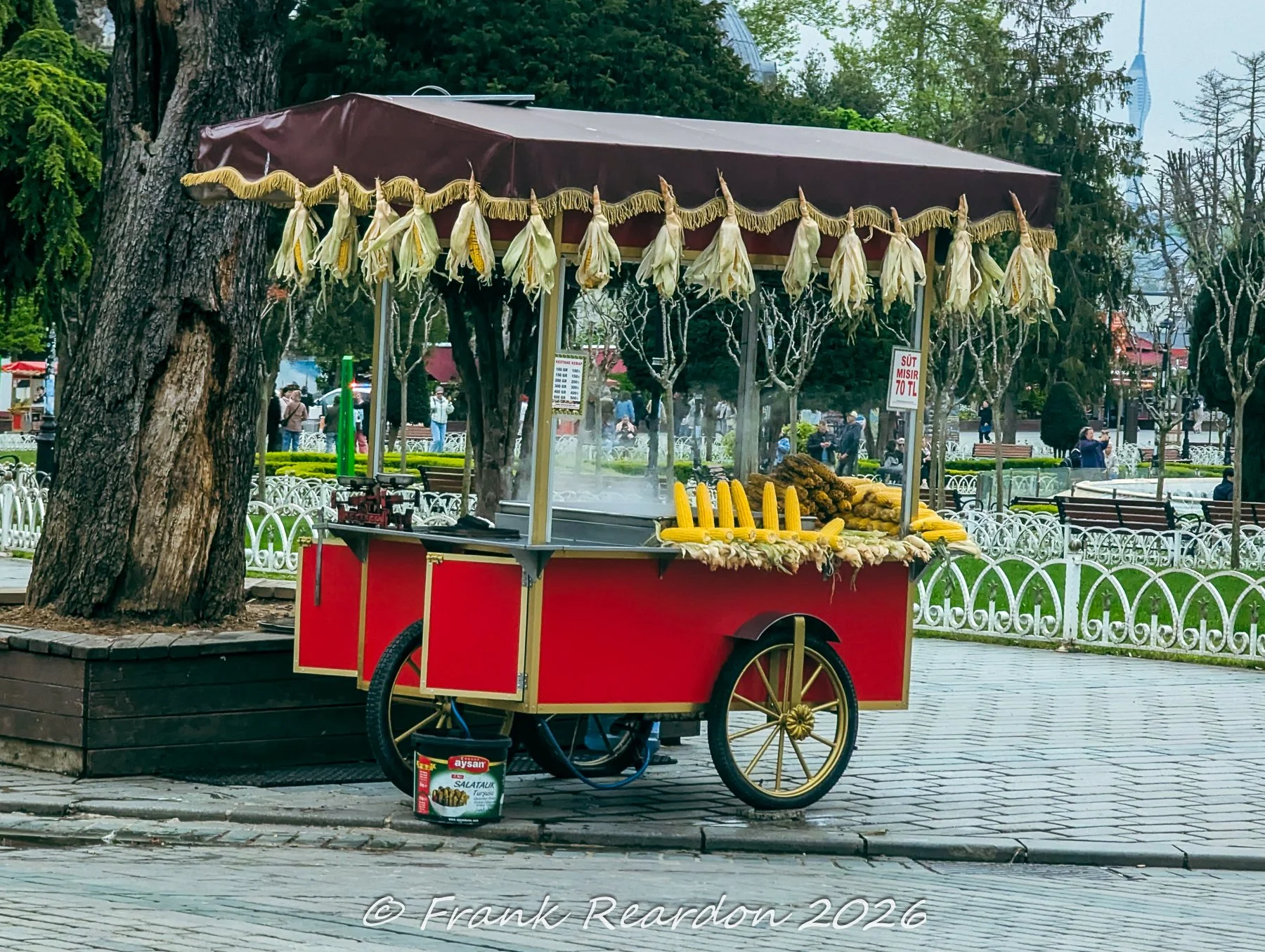 A classic red and gold street vendor cart decorated with hanging dried corn husks and selling fresh roasted corn in Sultanahmet Park.