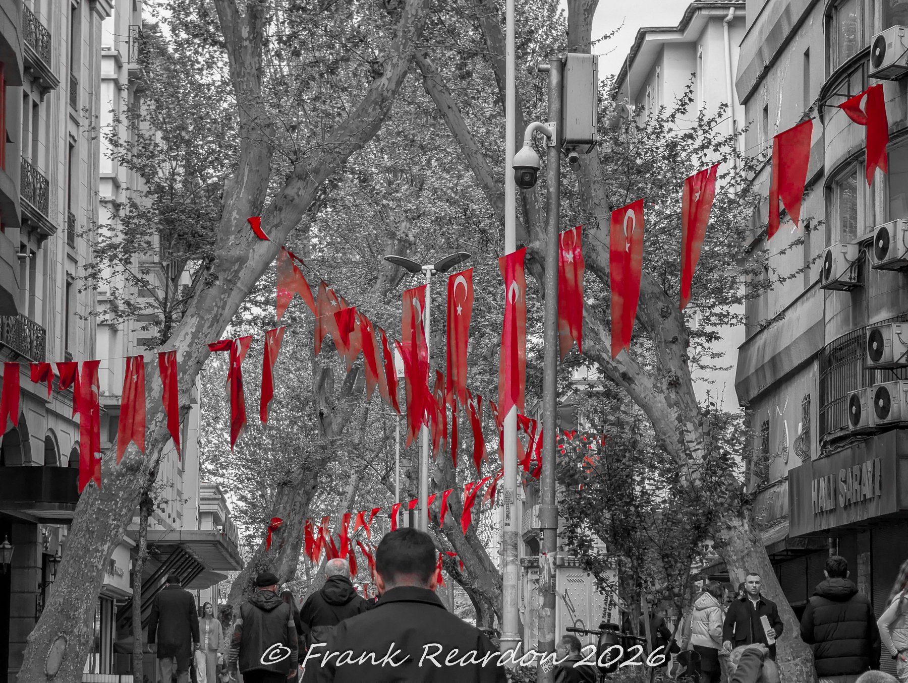 A selective color photograph highlighting vibrant red Turkish flags strung between the leafy sycamore trees of a bustling pedestrian street in Istanbul.
