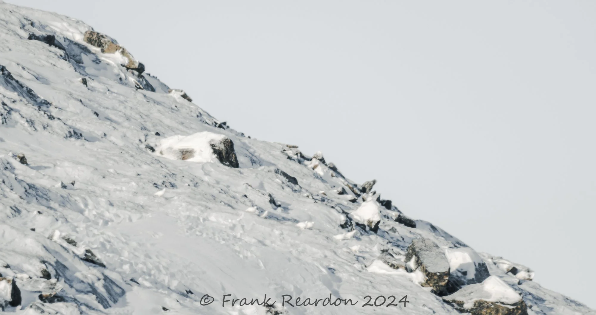 240203ILCE-640020240203-_FRR0781Sony.jpg