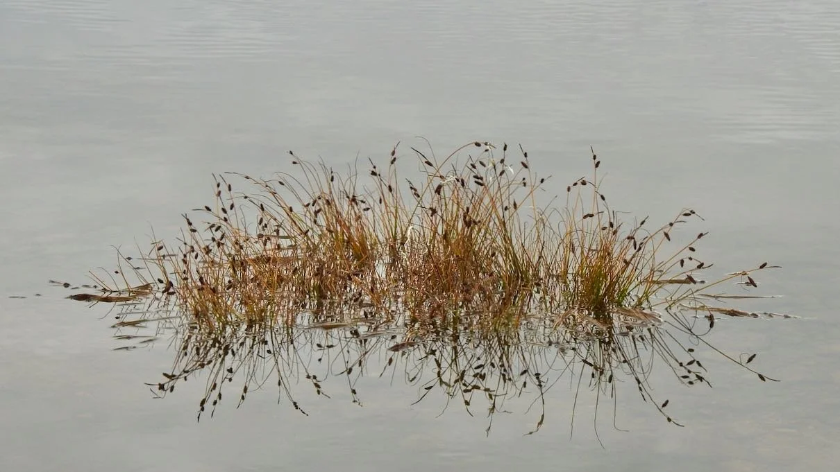 DSCN1305.jpg