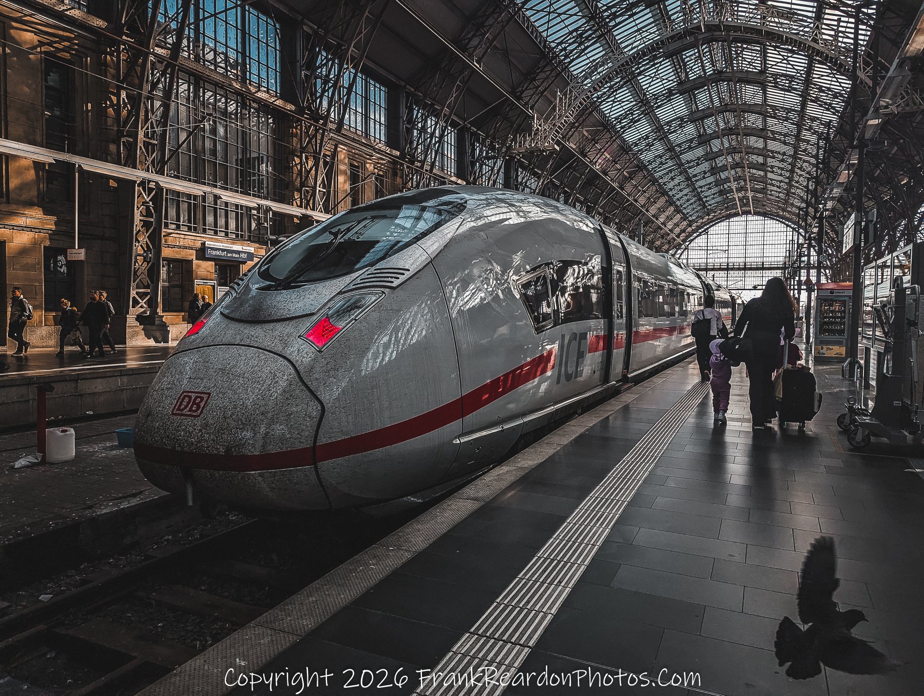 Departure Under Iron Arches (Frankfurt Main Station)
A close perspective of a modern ICE train