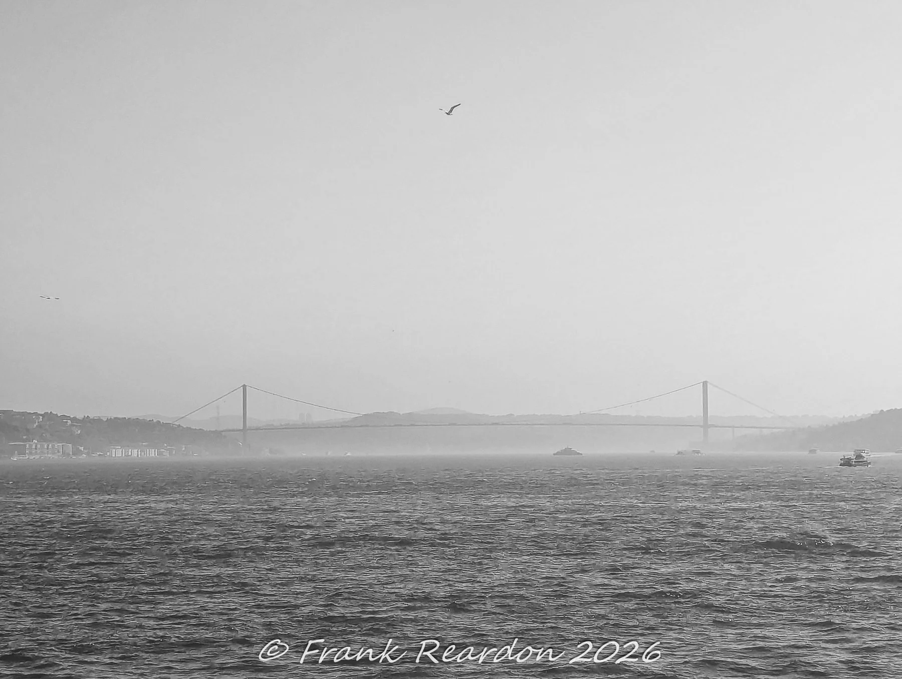 A tranquil black-and-white distant shot of the suspension Bosphorus Bridge spanning the misty strait under a solitary flying gull.