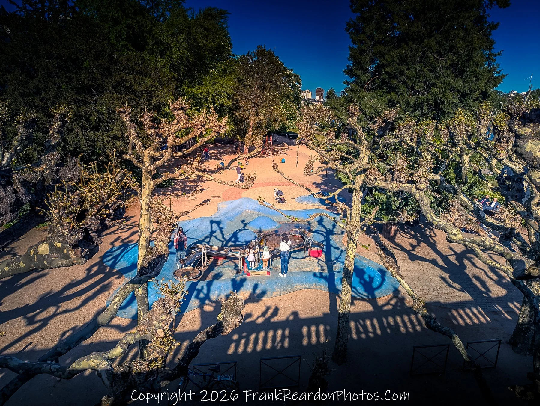 Park Playground with Sculpted Trees (Overhead View)
“Shadows and Play – A Park in Motion”